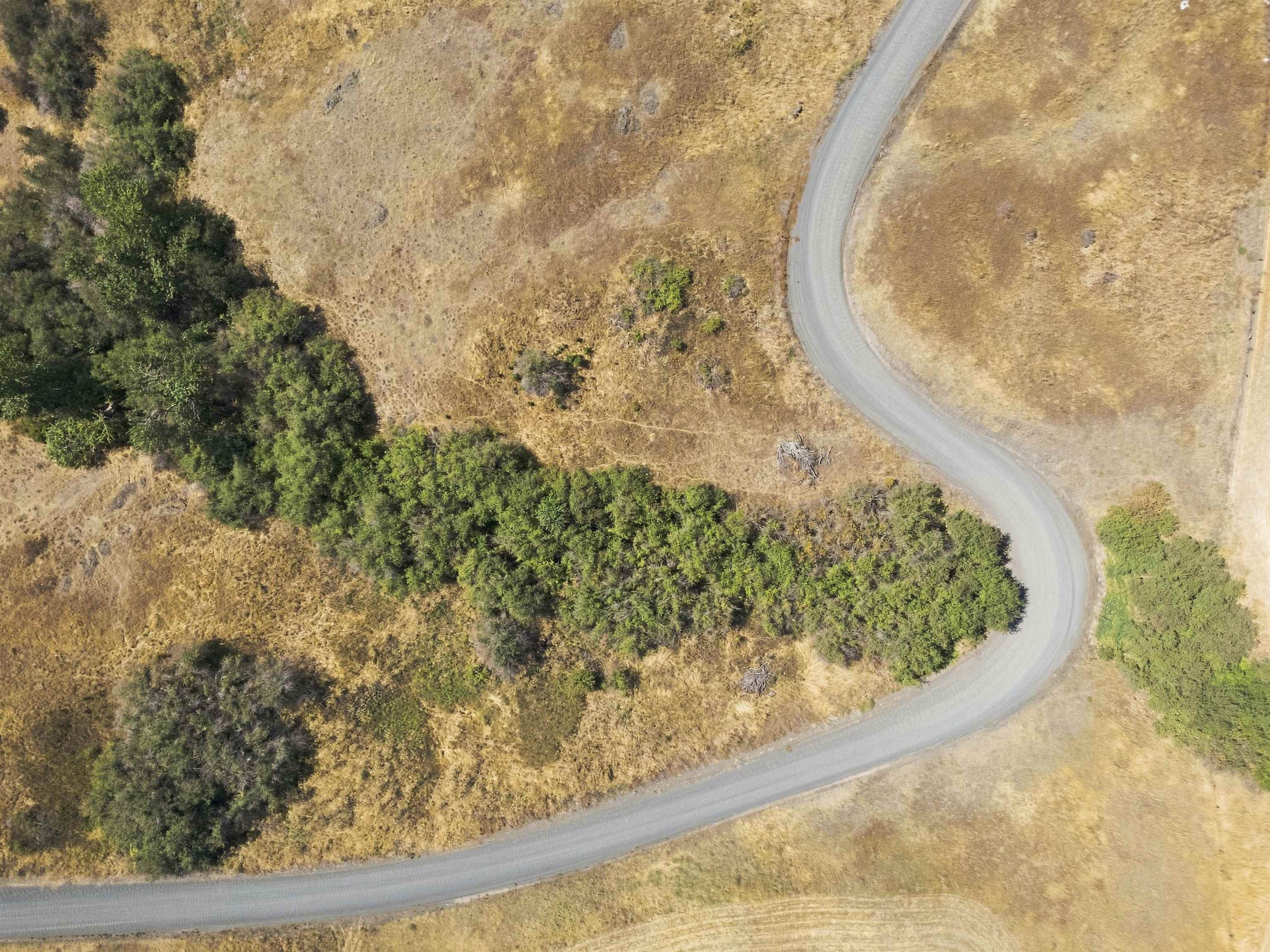 8 Acre Lot Red Tail Ridge Rd - Photo 20