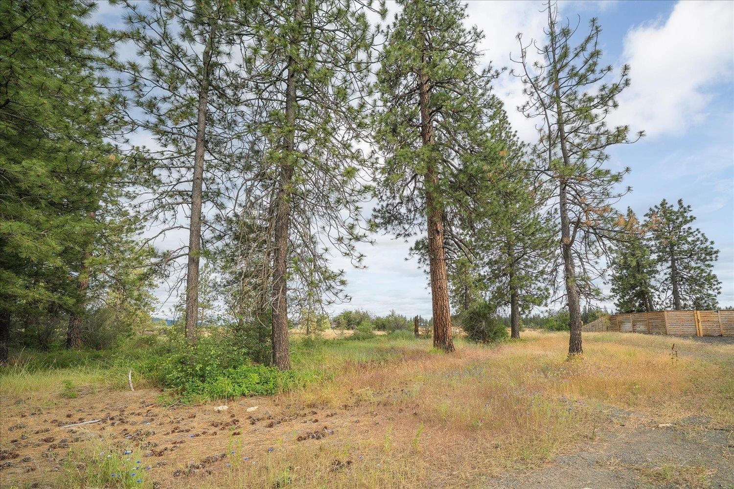 3819 W Cliffside Ln - Photo 4