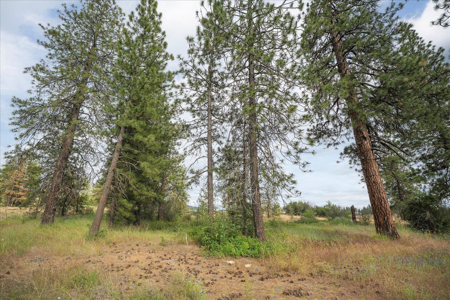 3819 W Cliffside Ln - Photo 5