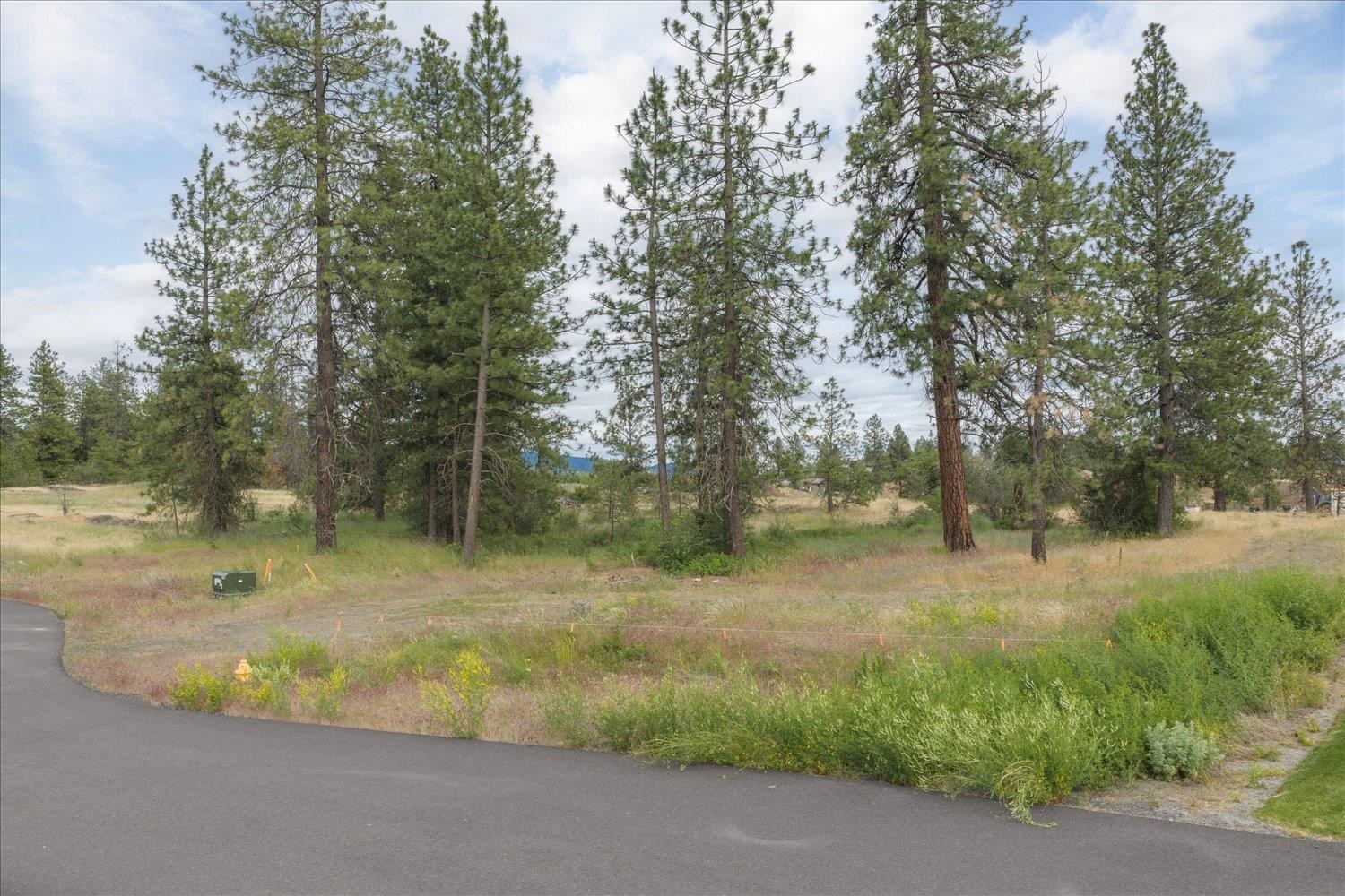 3819 W Cliffside Ln - Photo 7