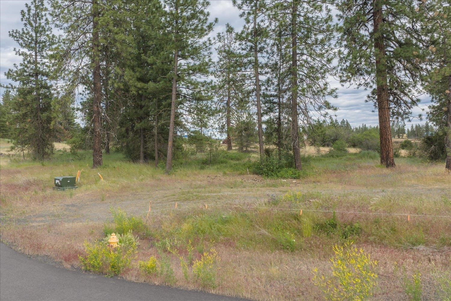 3819 W Cliffside Ln - Photo 9