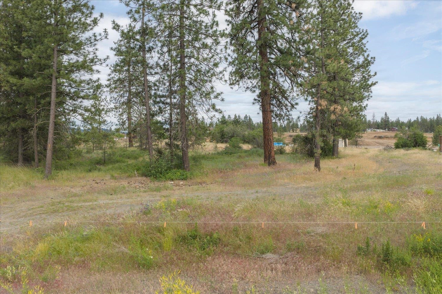 3819 W Cliffside Ln - Photo 10