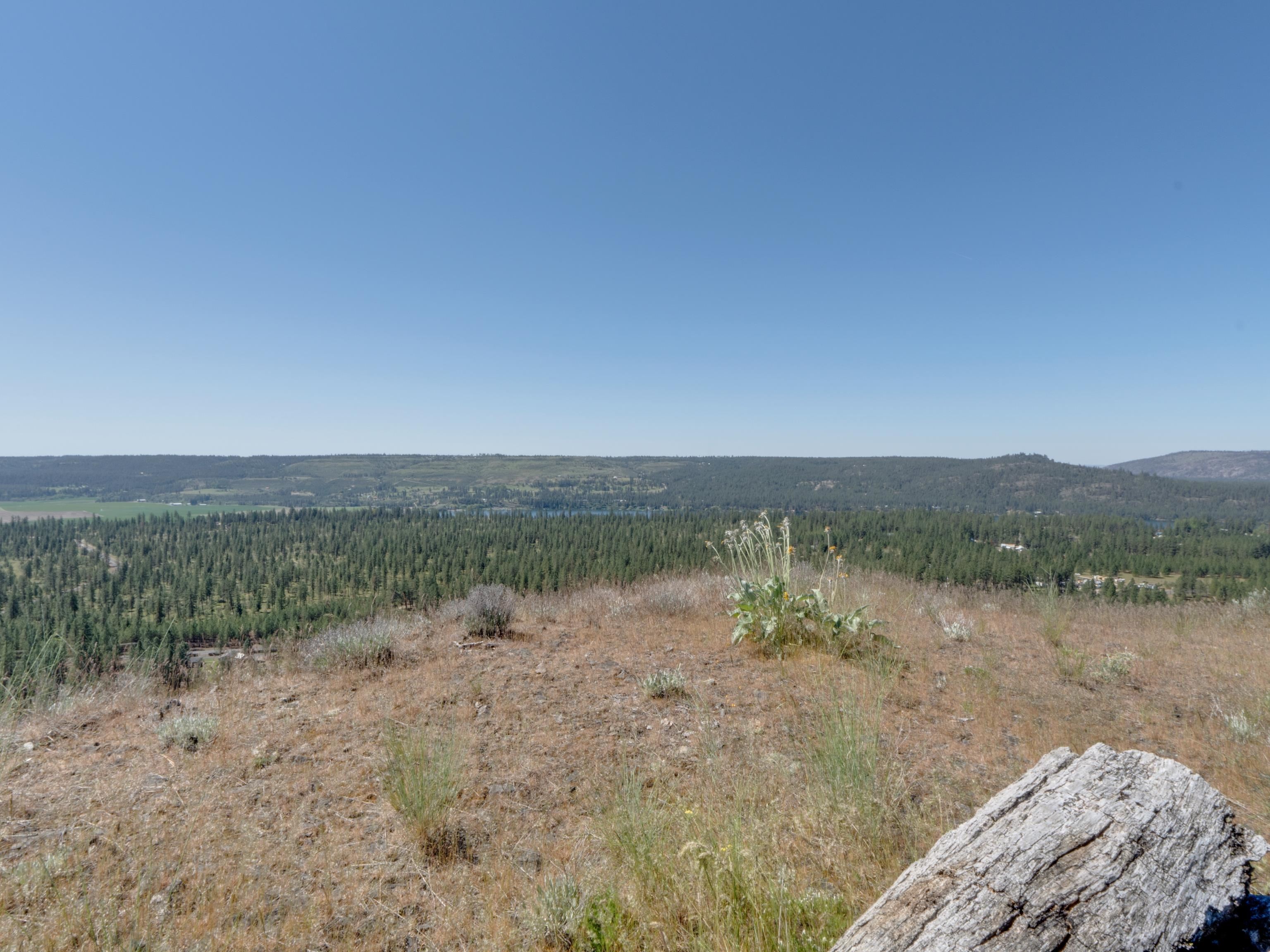 6560 Pine Ridge Way - Photo 49