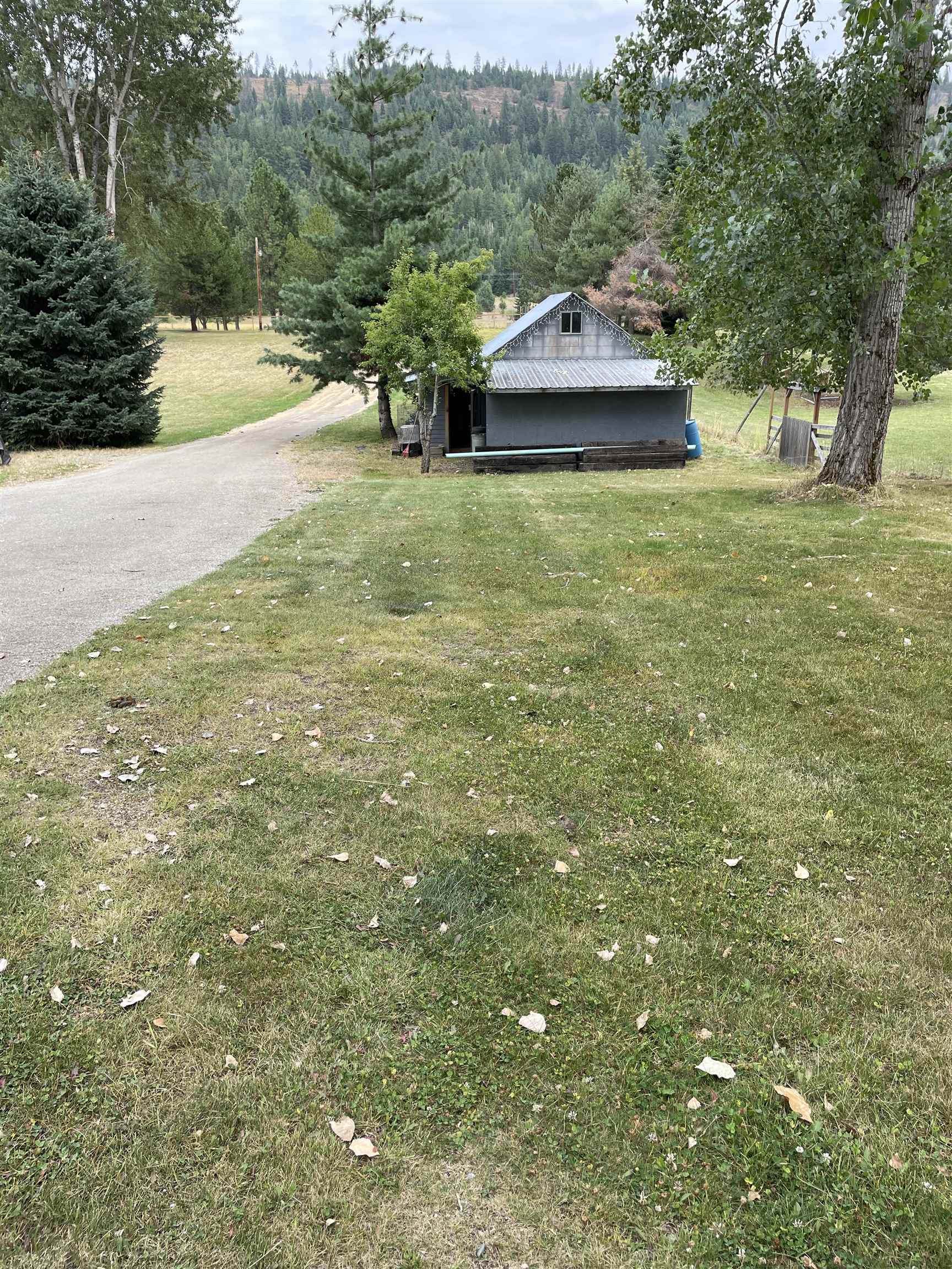 242 Larch Ln - Photo 41