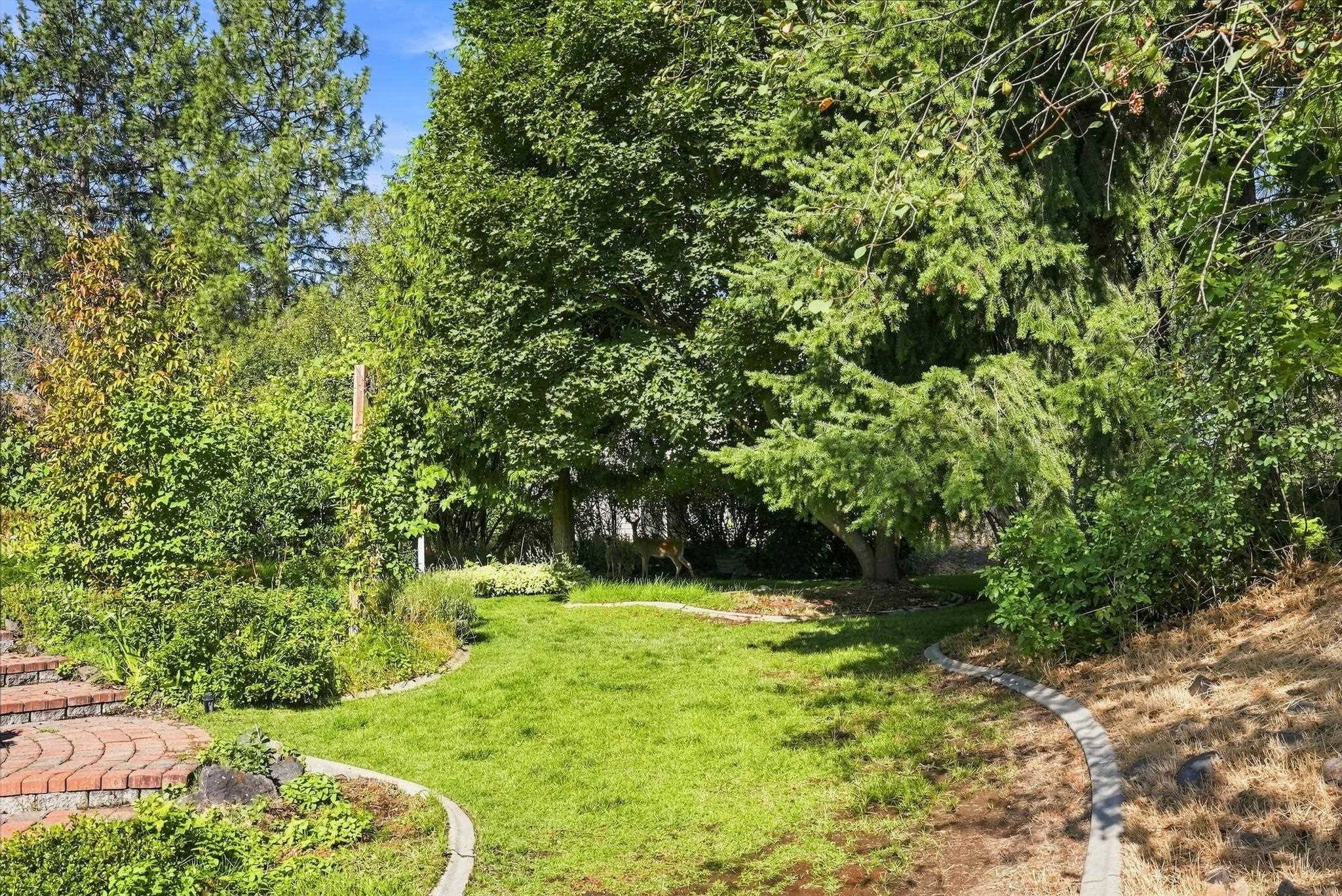 1706 W Wedgewood Ln - Photo 42