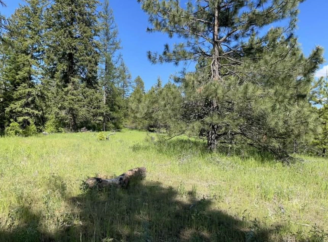 4401 Whittier Rd - Photo 2