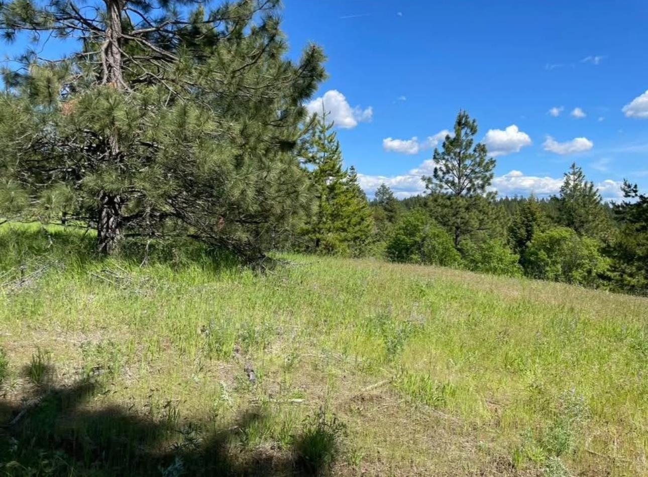 4401 Whittier Rd - Photo 3