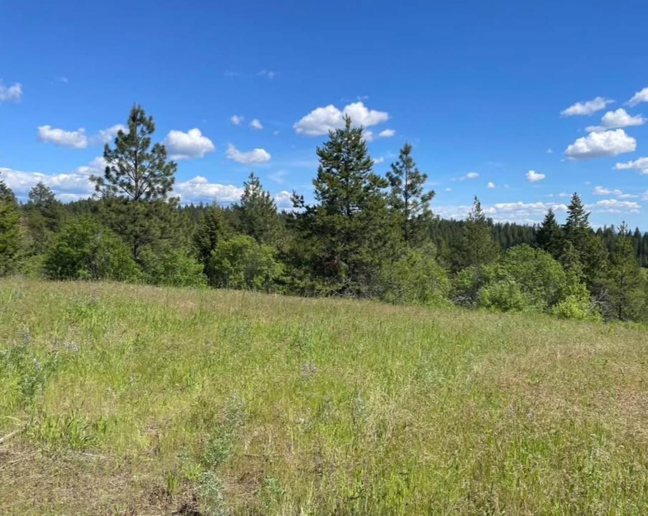 4401 Whittier Rd - Photo 4
