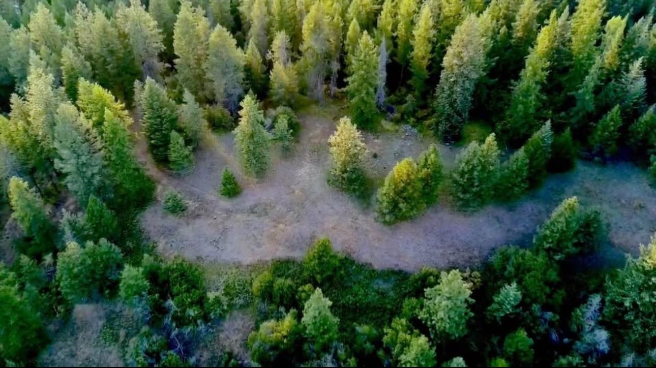 4401 Whittier Rd - Photo 5