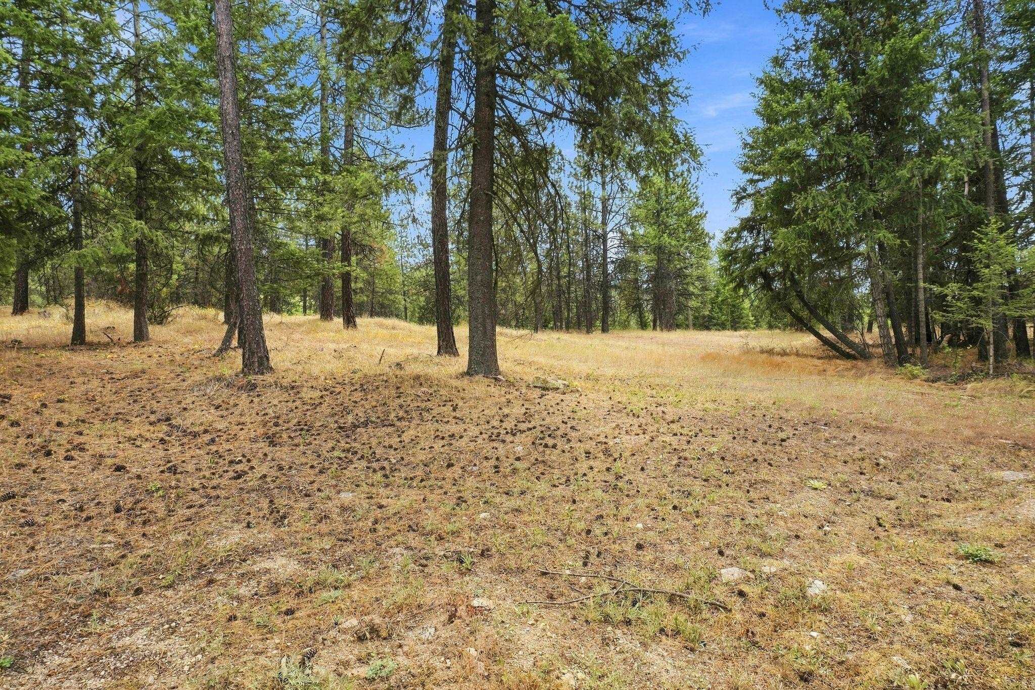 9308 N Campbell Rd - Photo 22