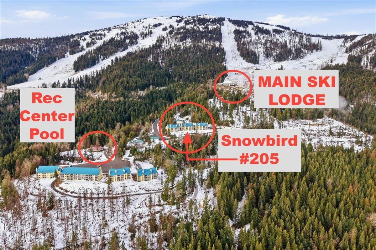 28600 N Mt Spokane Park Dr - Photo 1