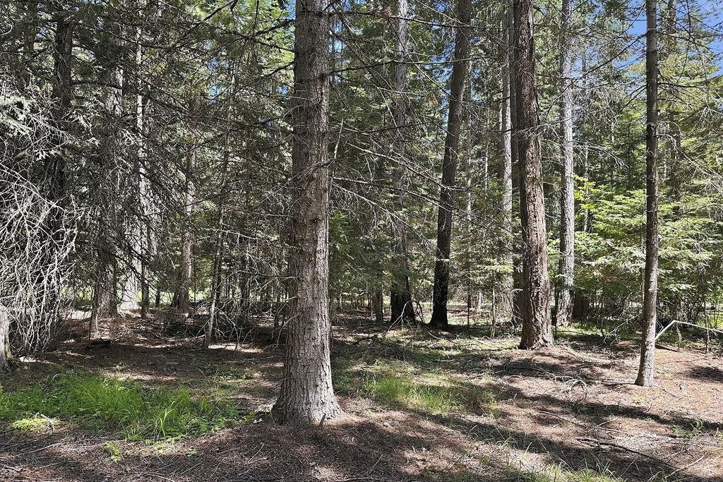 641 Riverbend Loop Rd - Photo 4