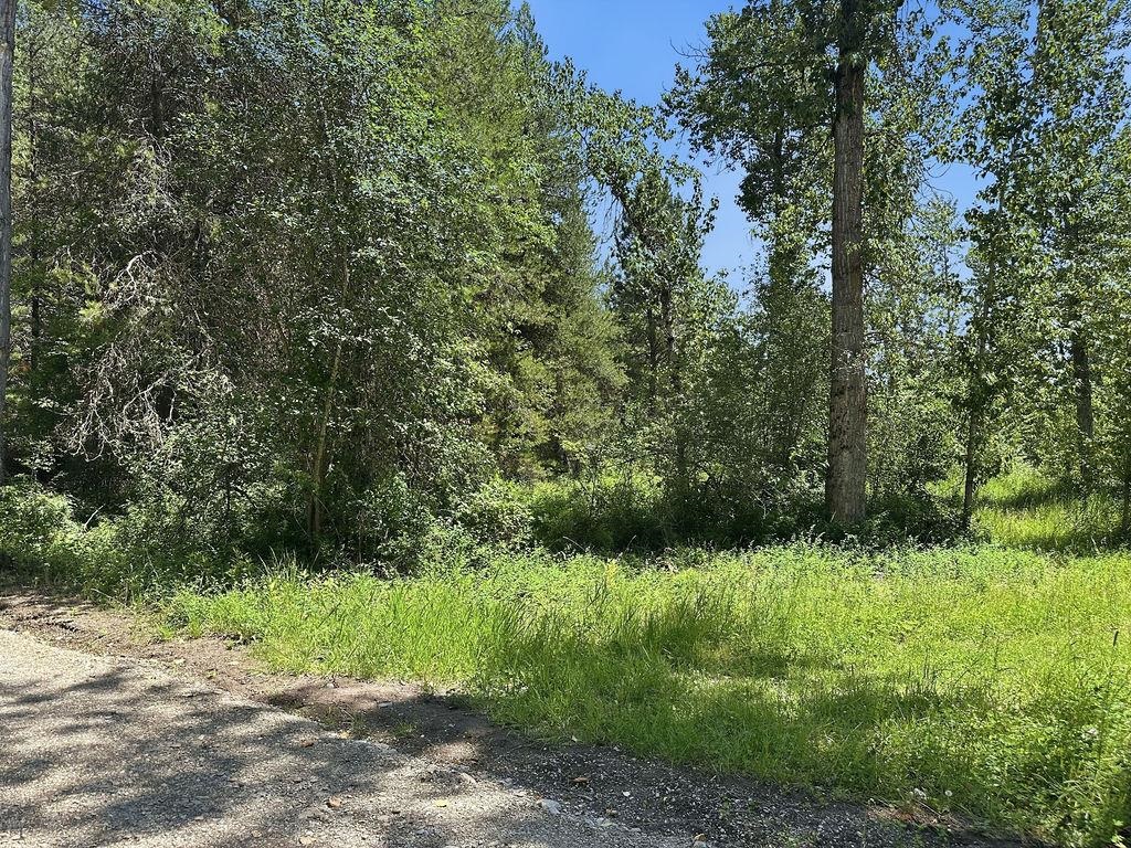 641 Riverbend Loop Rd - Photo 6
