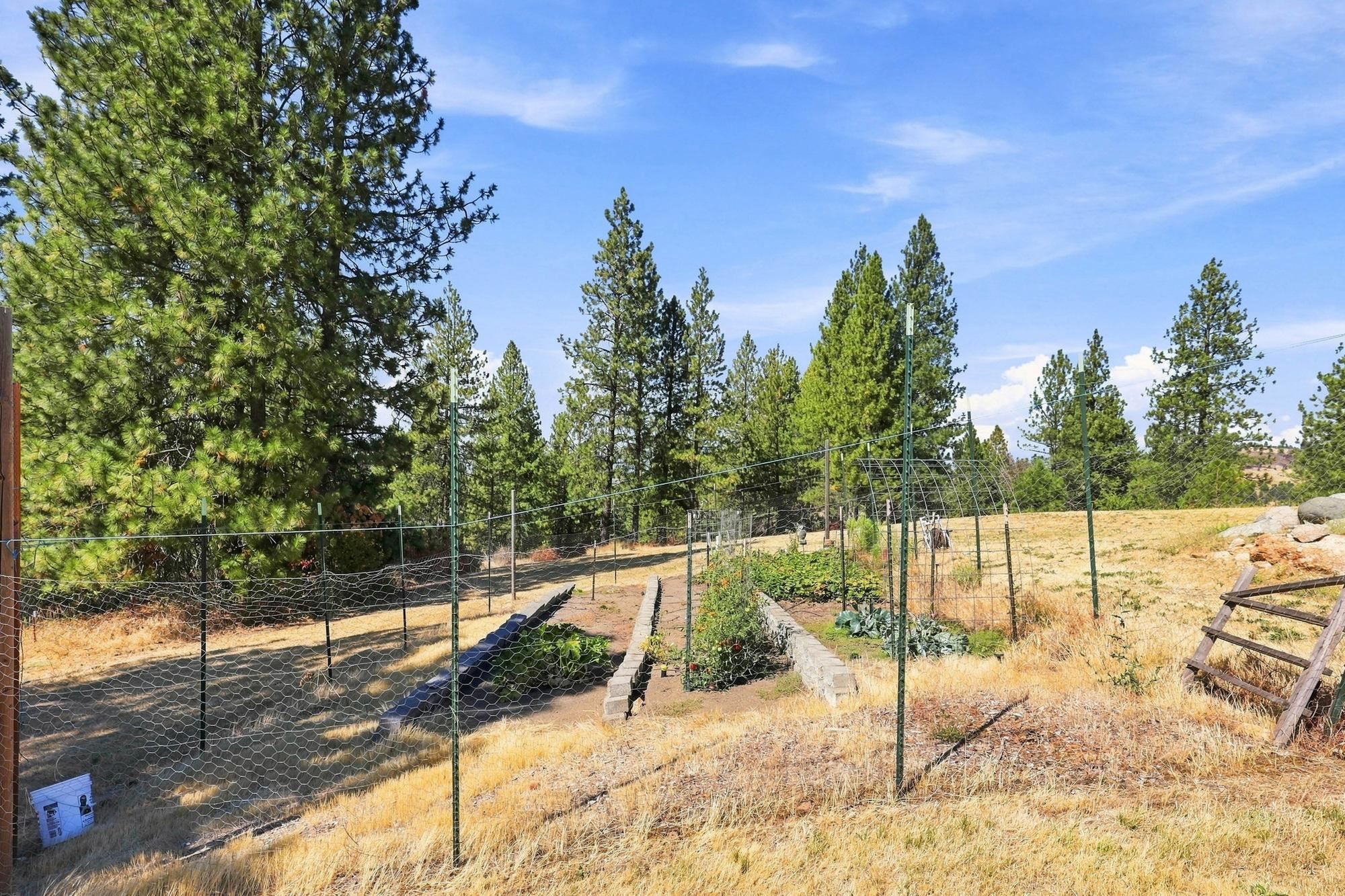 22222 E SALTESE LAKE Rd - Photo 46