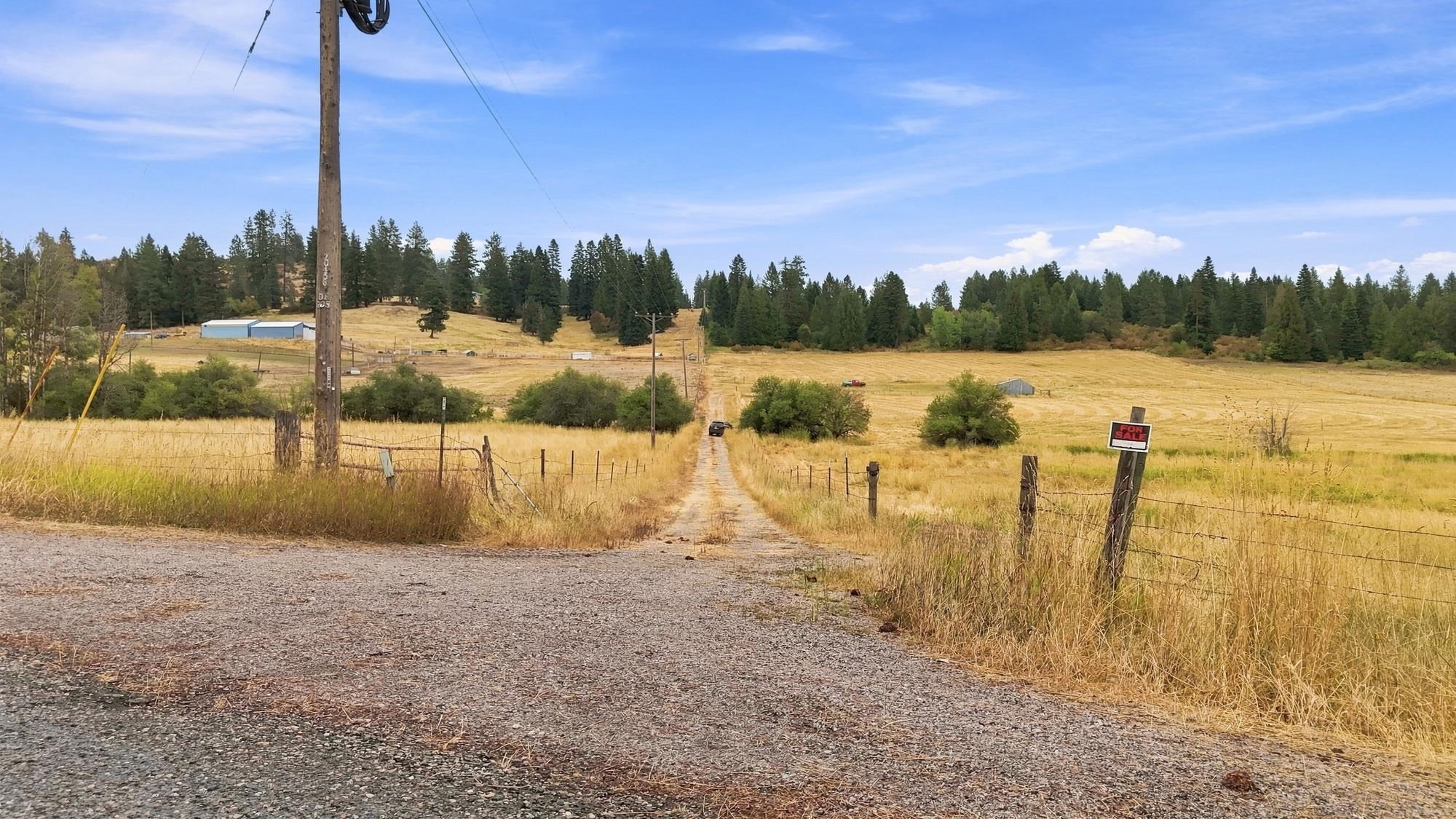 2702 Allen Rd - Photo 4