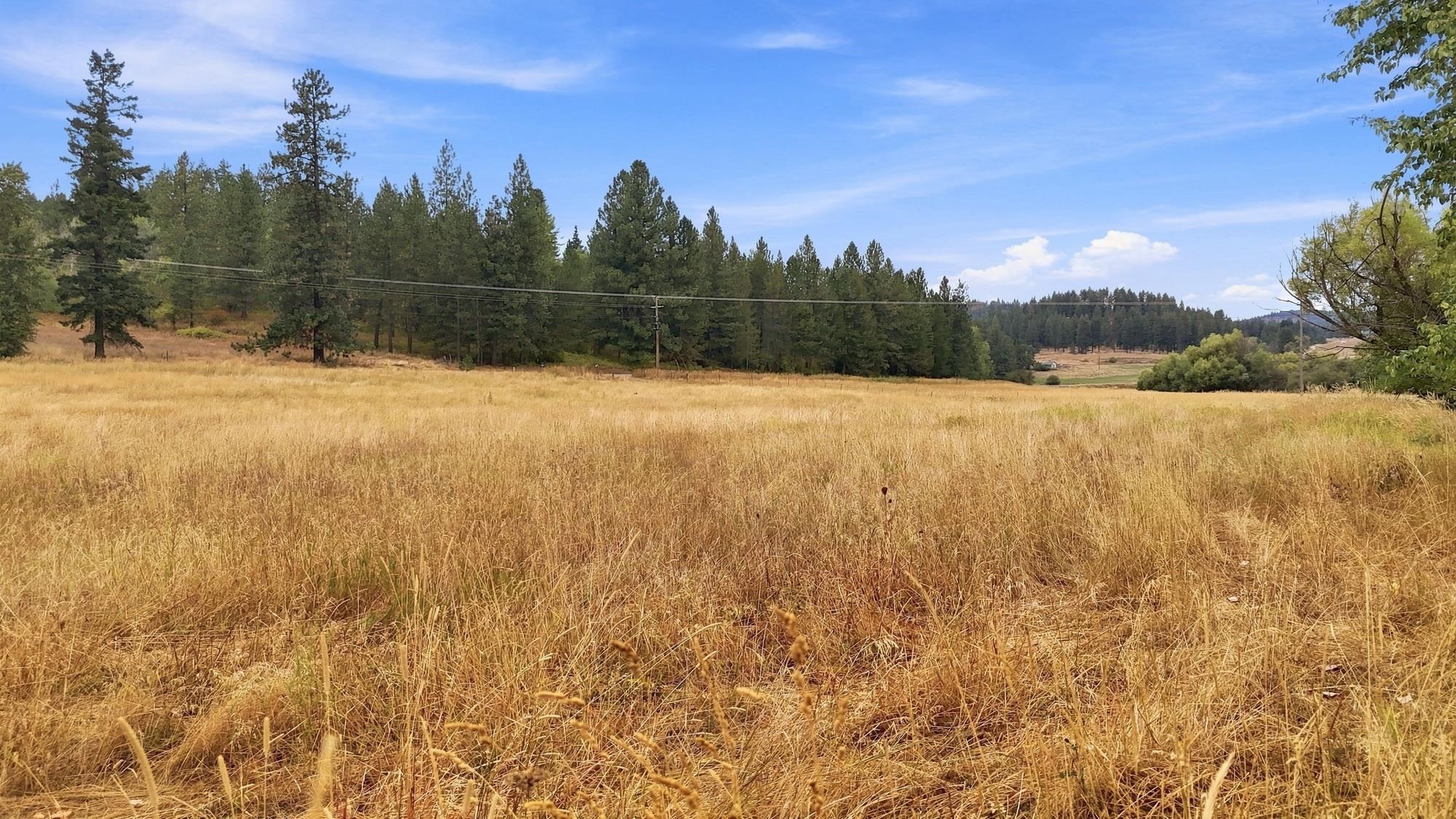 2702 Allen Rd - Photo 8