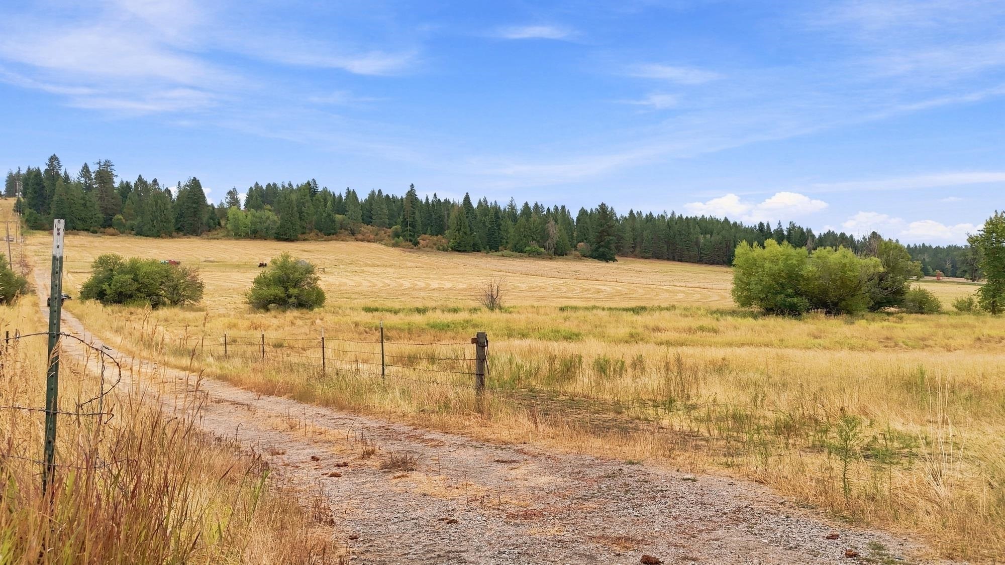 2702 Allen Rd - Photo 6