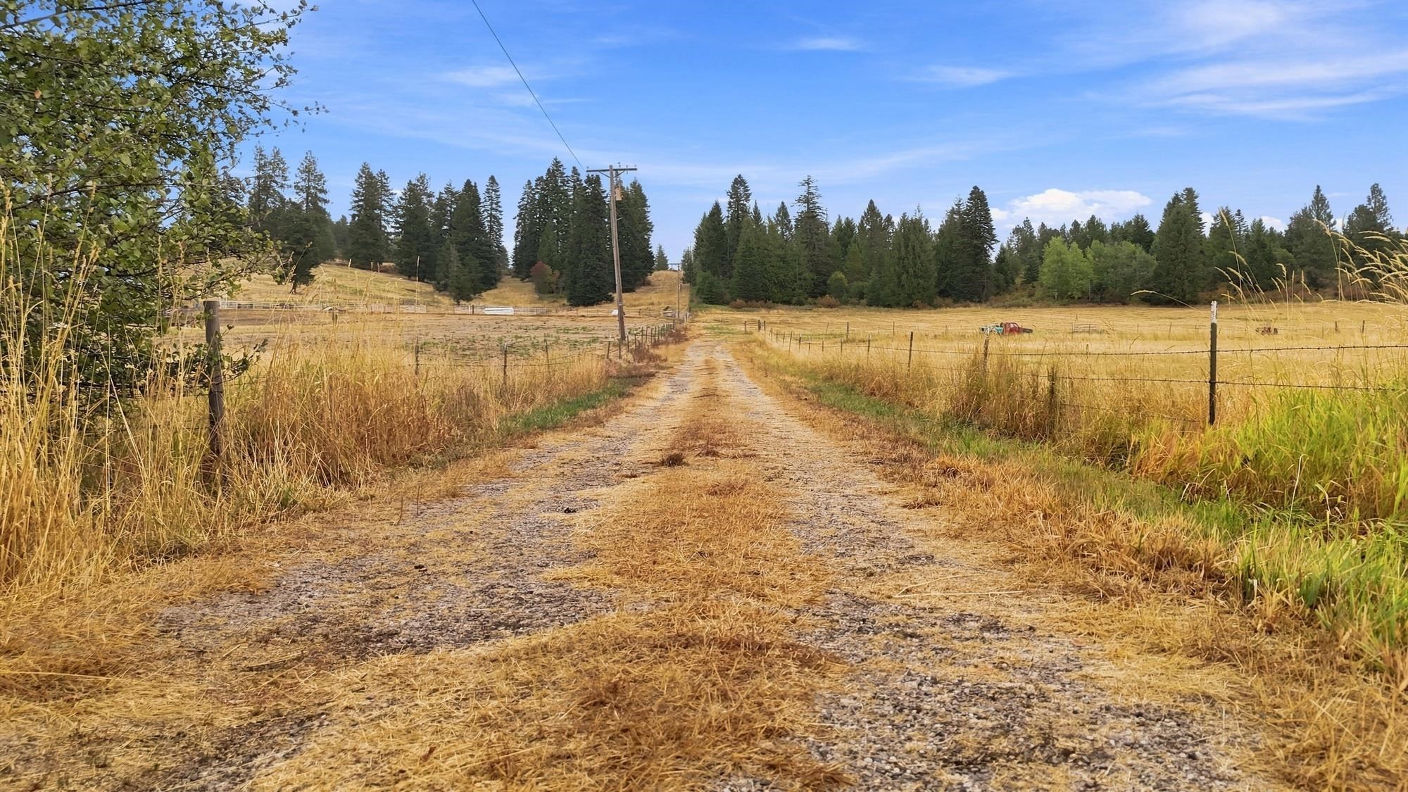 2702 Allen Rd - Photo 5