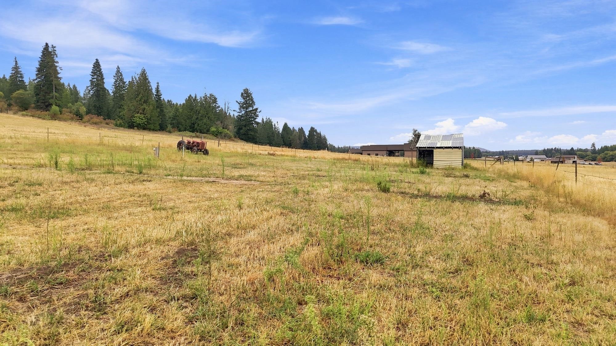 2702 Allen Rd - Photo 9