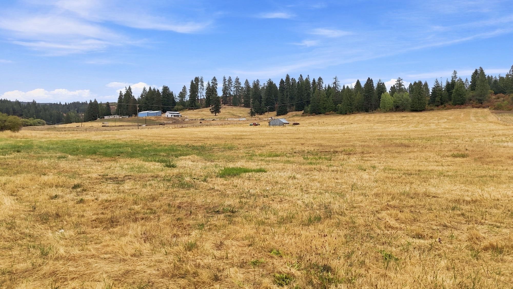 2702 Allen Rd - Photo 11