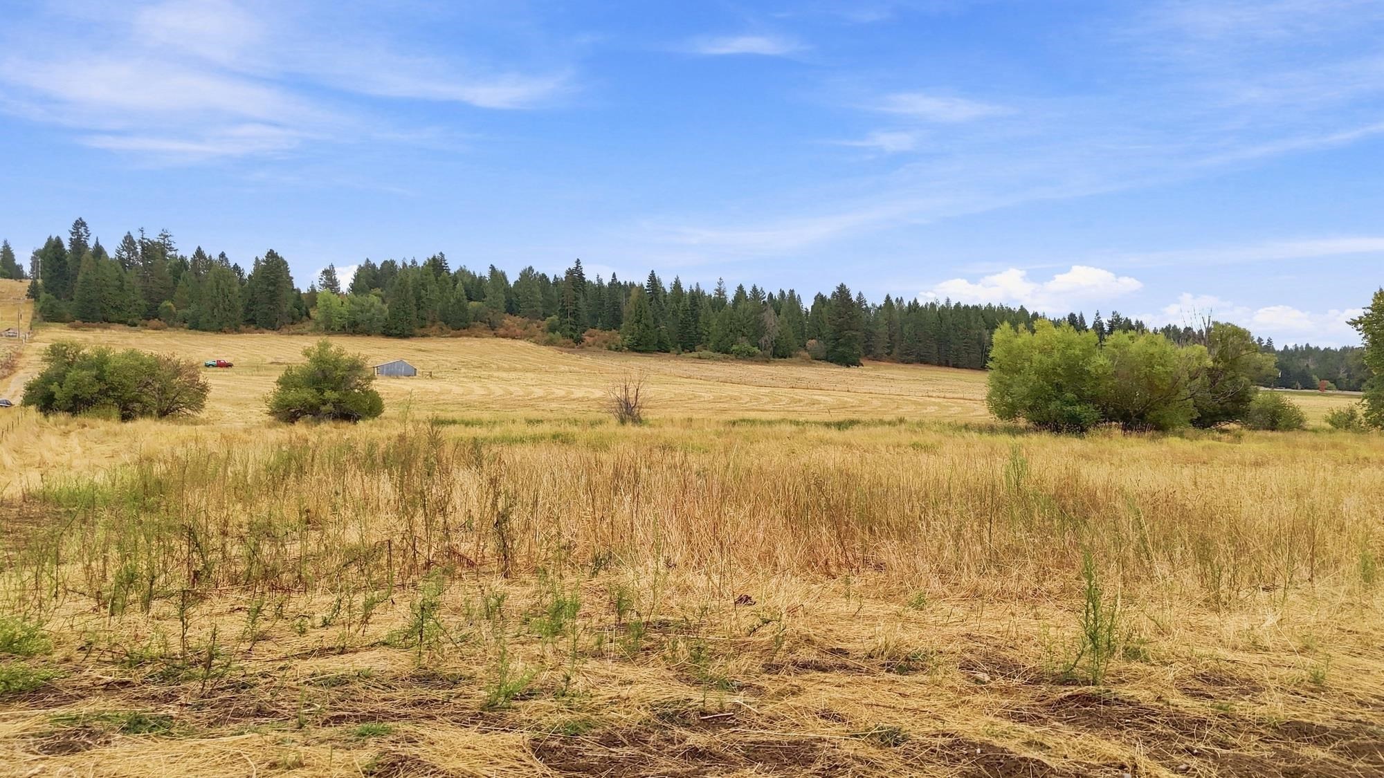 2702 Allen Rd - Photo 14