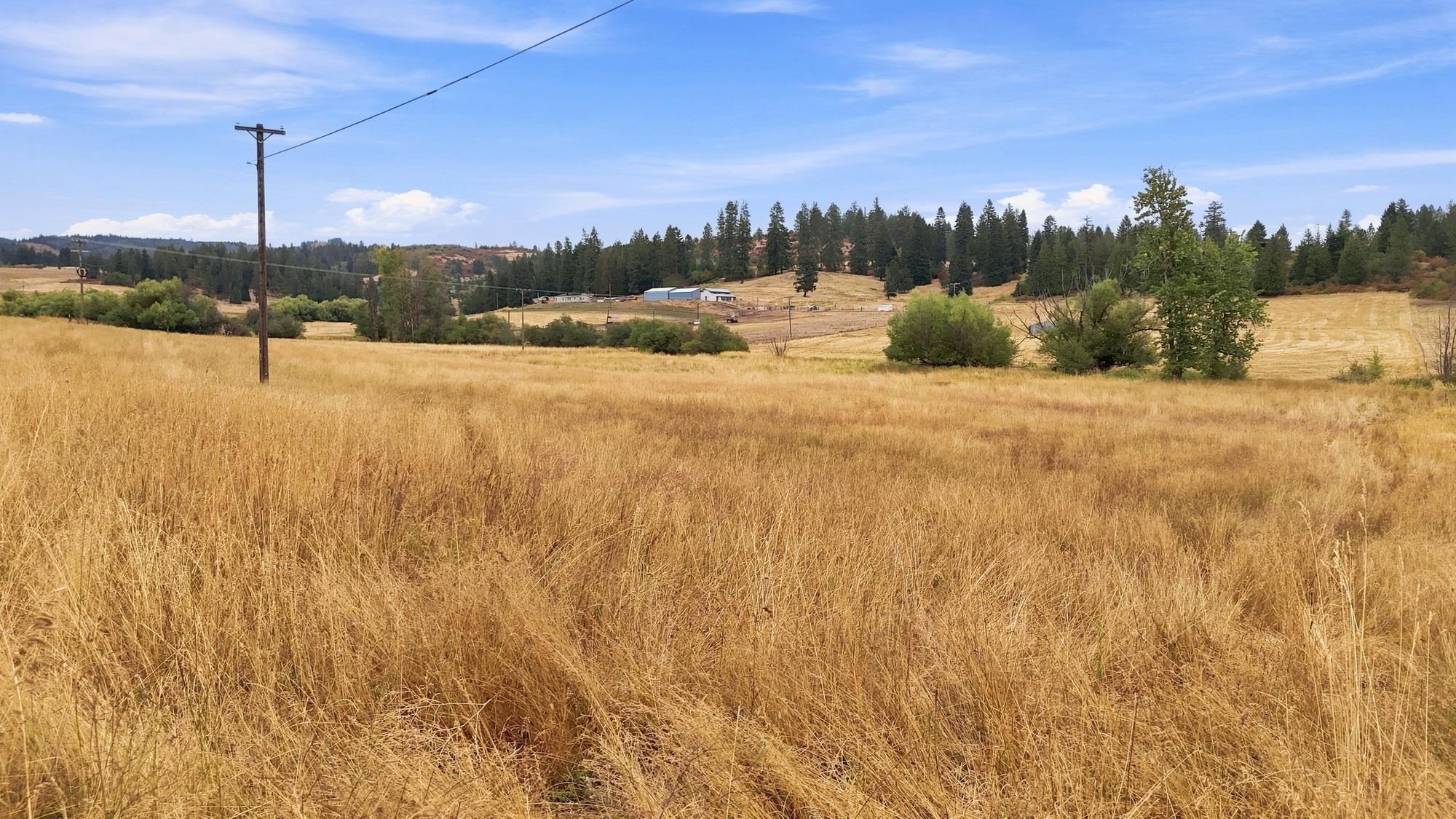 2702 Allen Rd - Photo 16