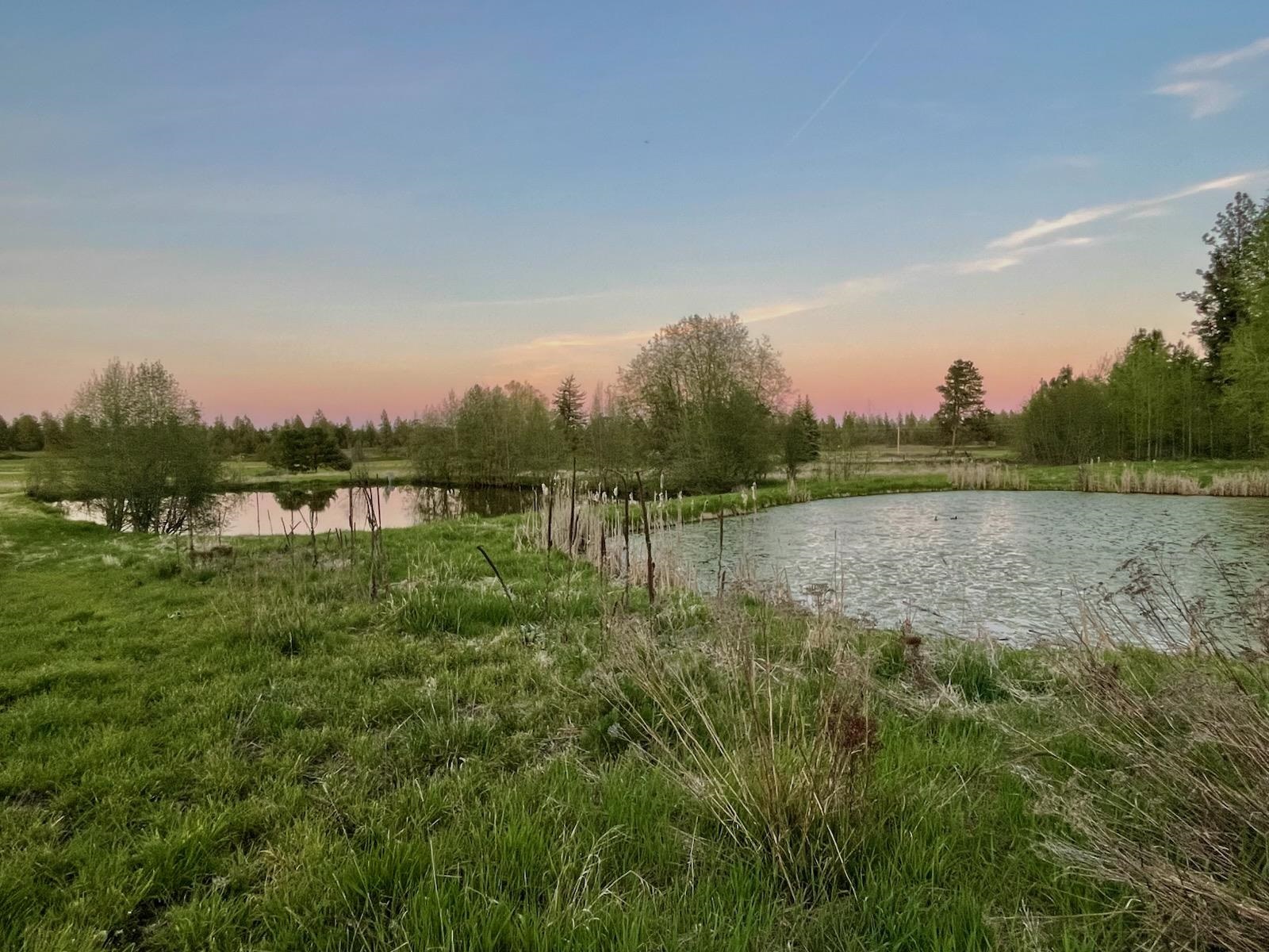 4611 W Anderson Rd - Photo 44