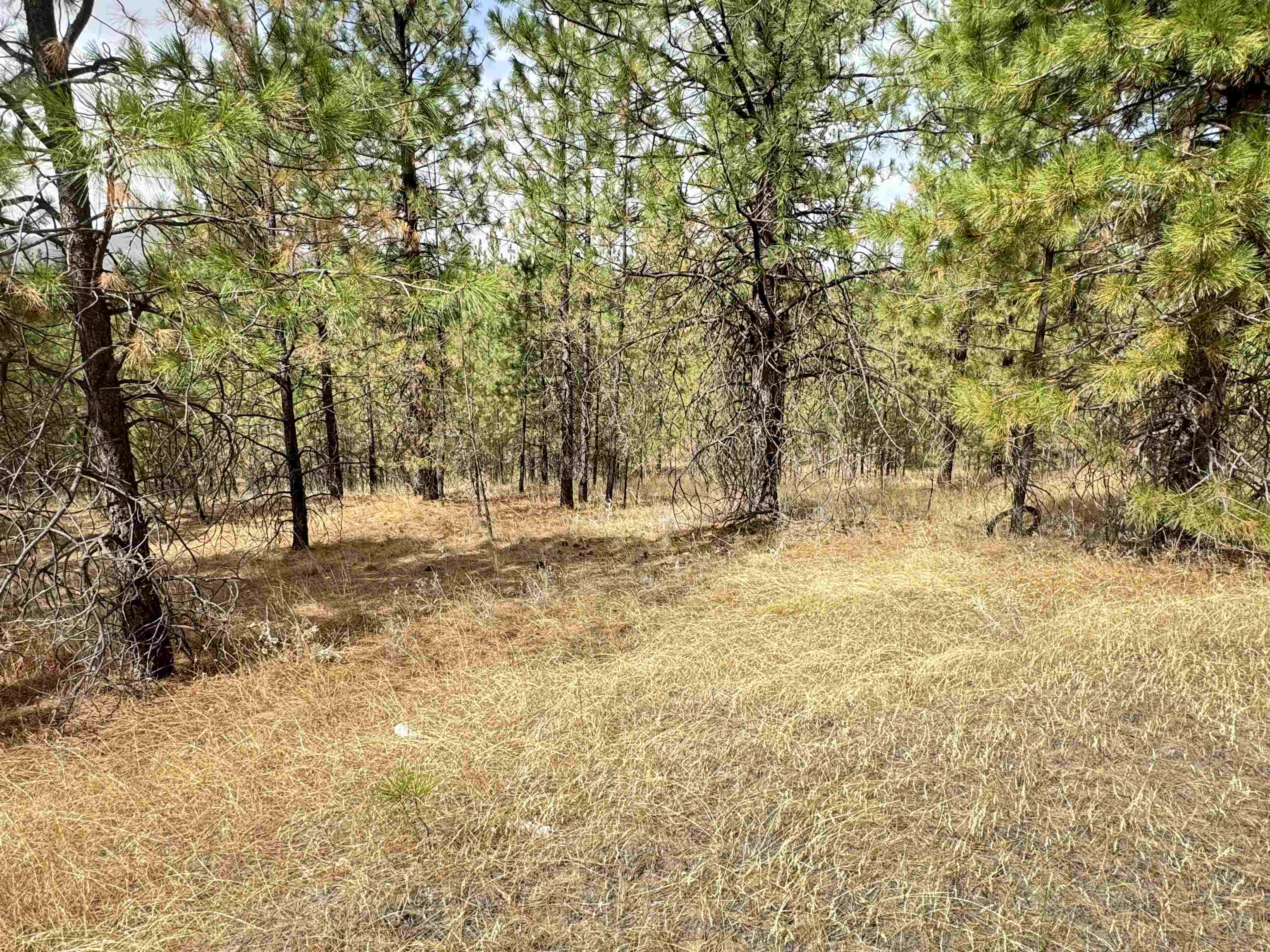 19821 N Mathias Ln - Photo 12