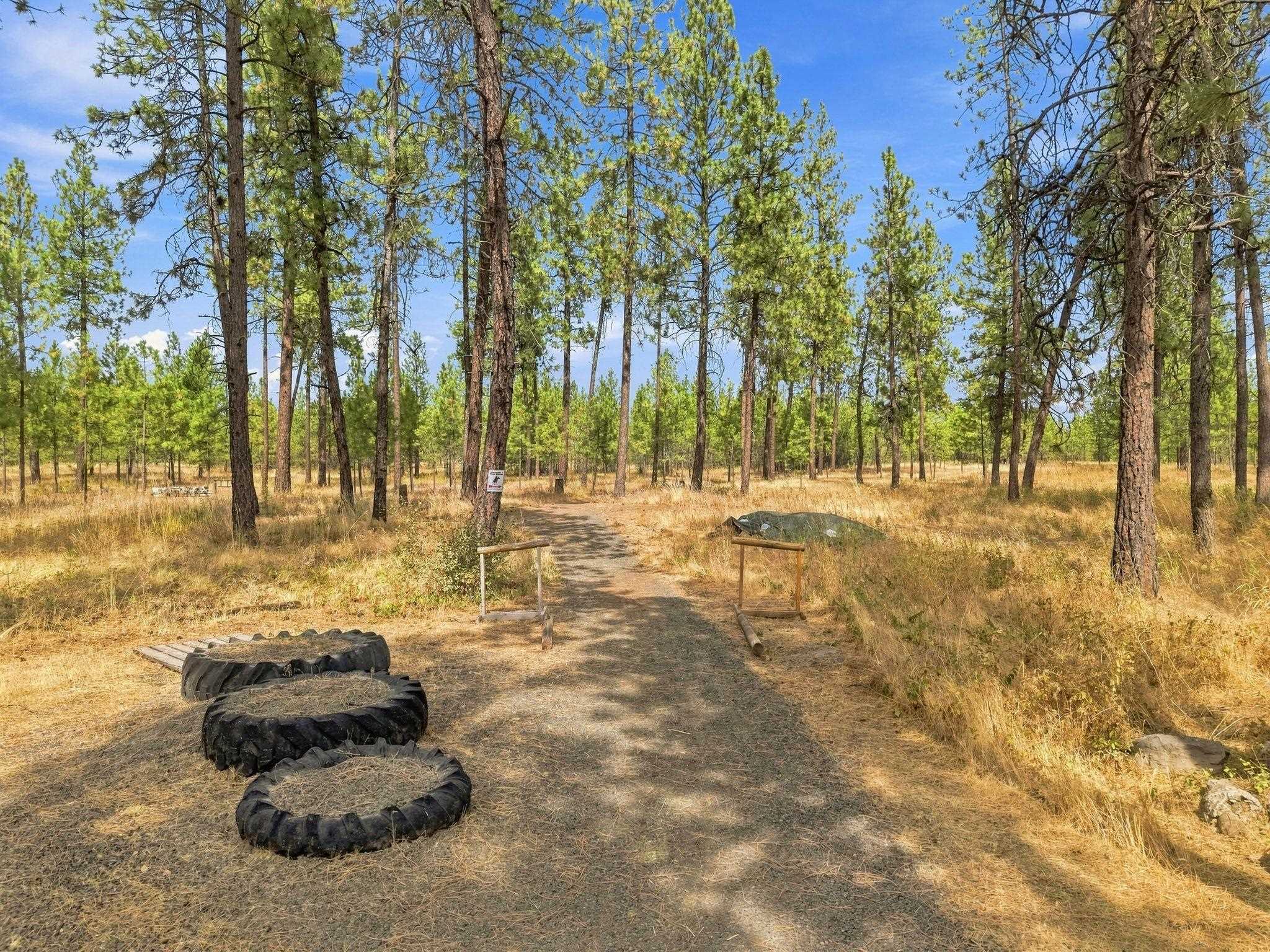 12323 S Sherman Rd - Photo 42