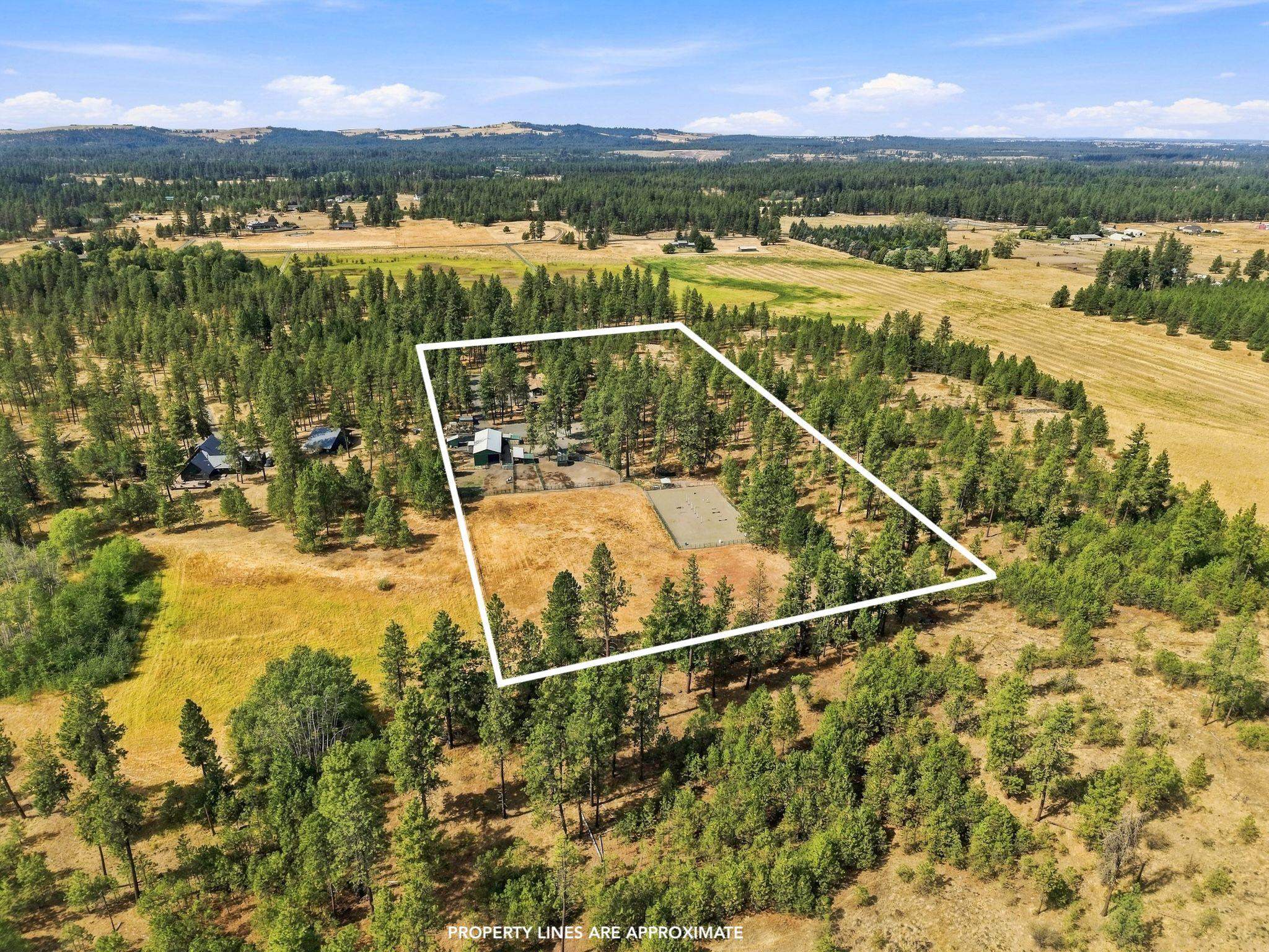 12323 S Sherman Rd - Photo 49