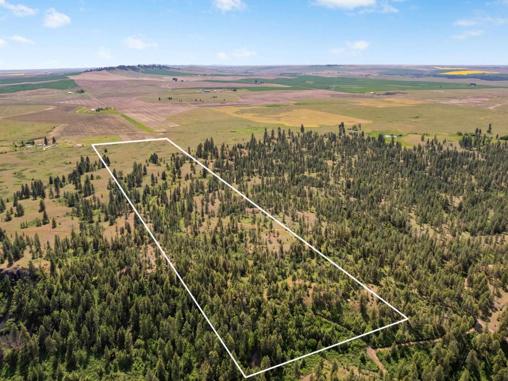 00 W Highland Rd off Coulee Hite Rd - Photo 4
