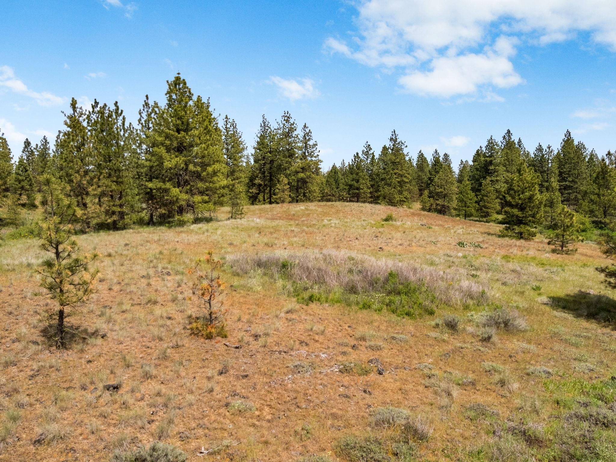 00 W Highland Rd off Coulee Hite Rd - Photo 11