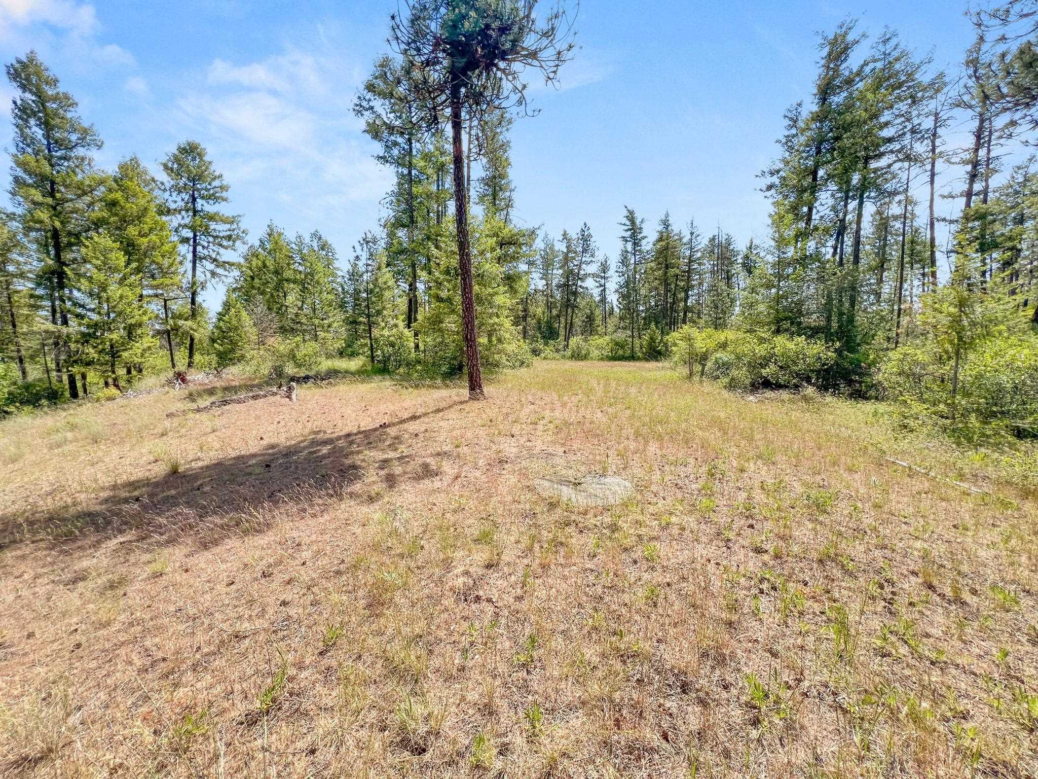 00 W Highland Rd off Coulee Hite Rd - Photo 27