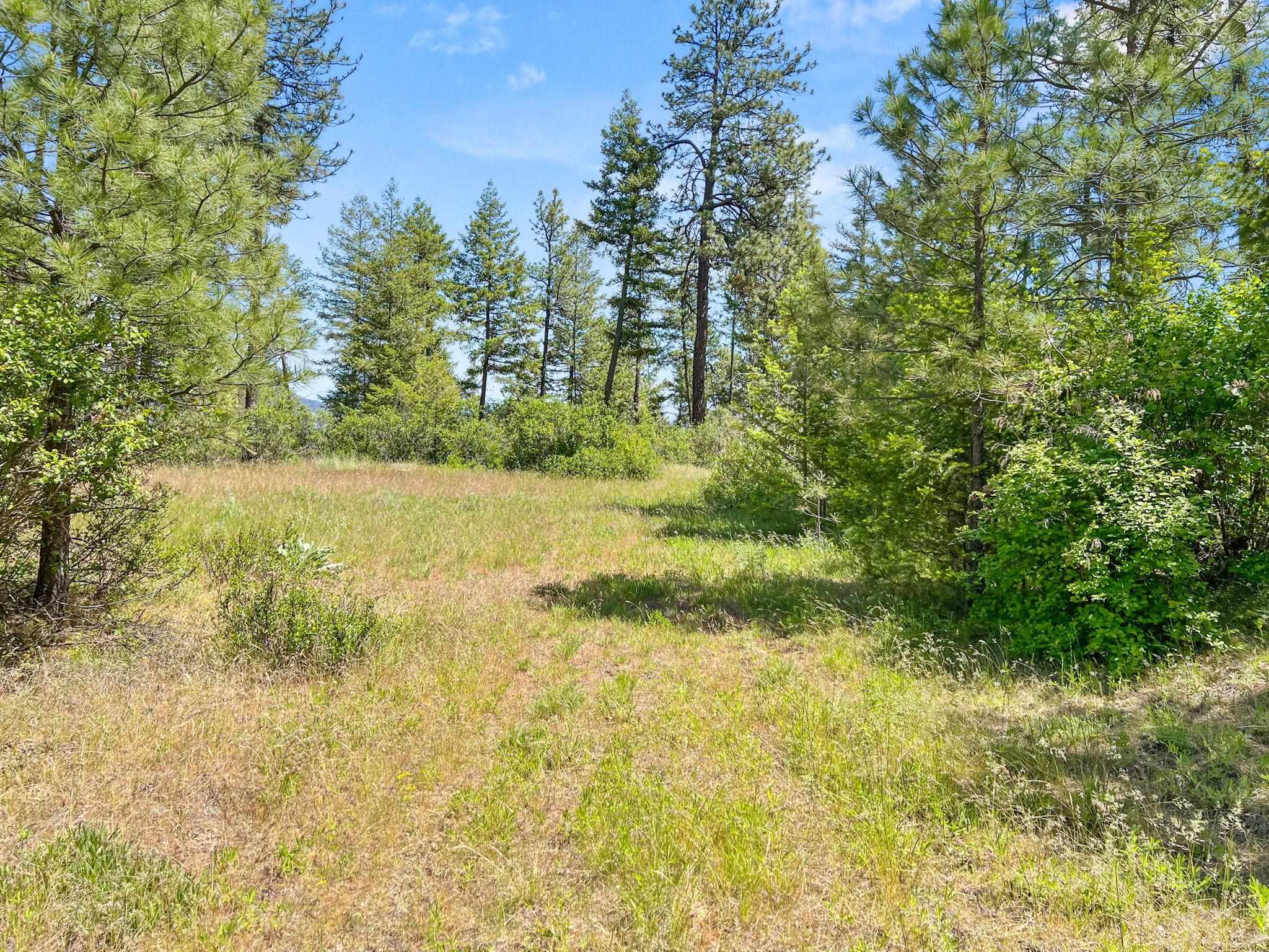 00 W Highland Rd off Coulee Hite Rd - Photo 29