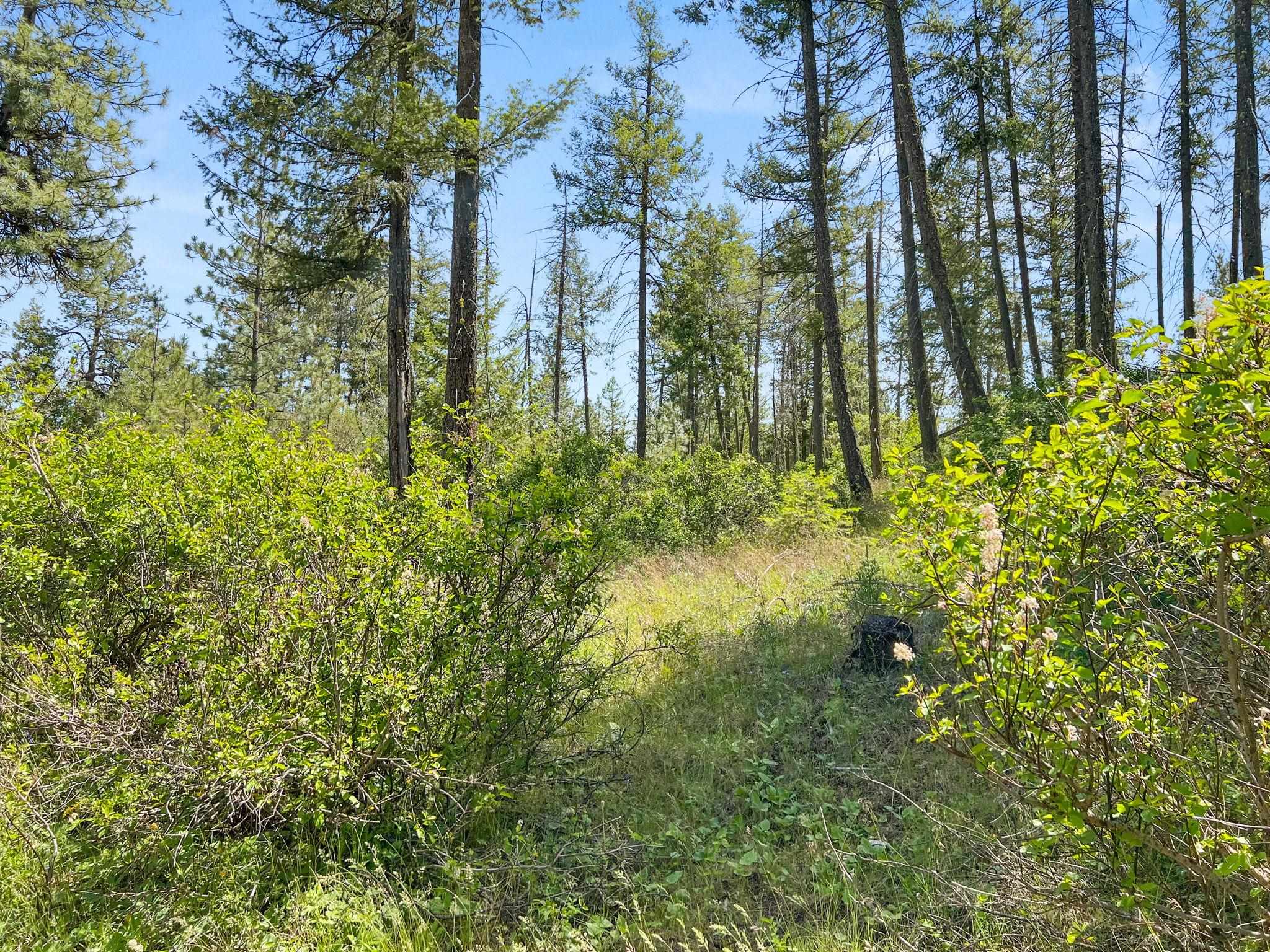 00 W Highland Rd off Coulee Hite Rd - Photo 30