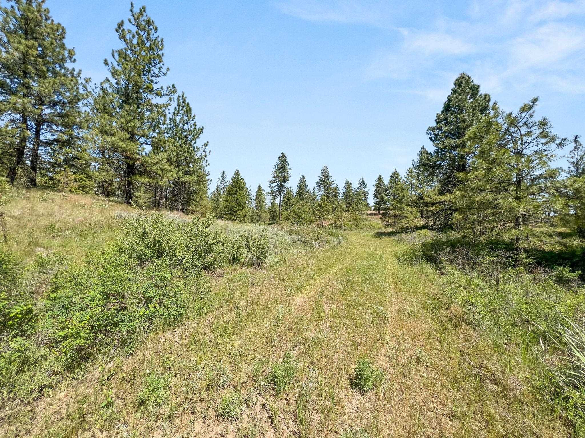 00 W Highland Rd off Coulee Hite Rd - Photo 35