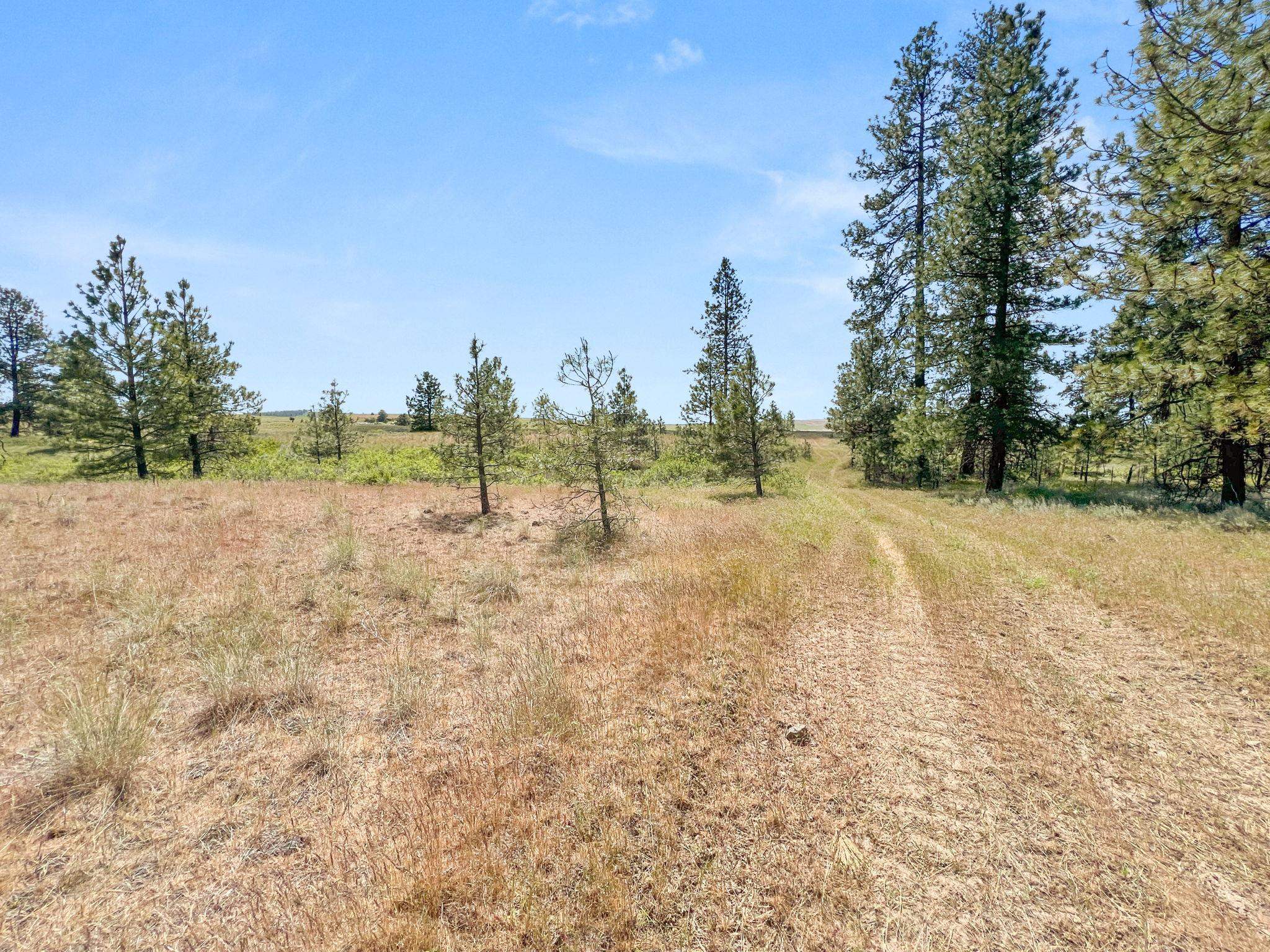 00 W Highland Rd off Coulee Hite Rd - Photo 37