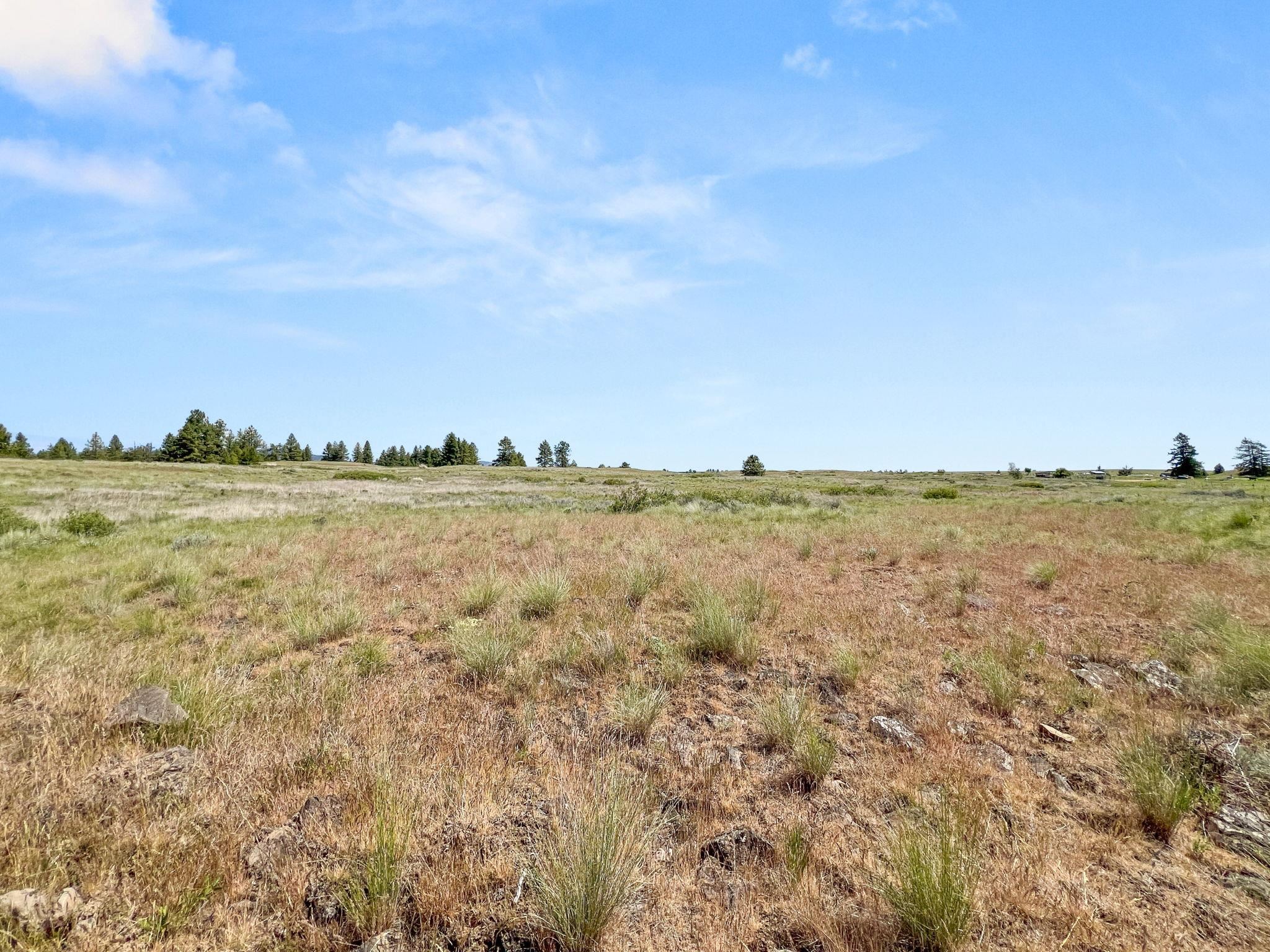 00 W Highland Rd off Coulee Hite Rd - Photo 38