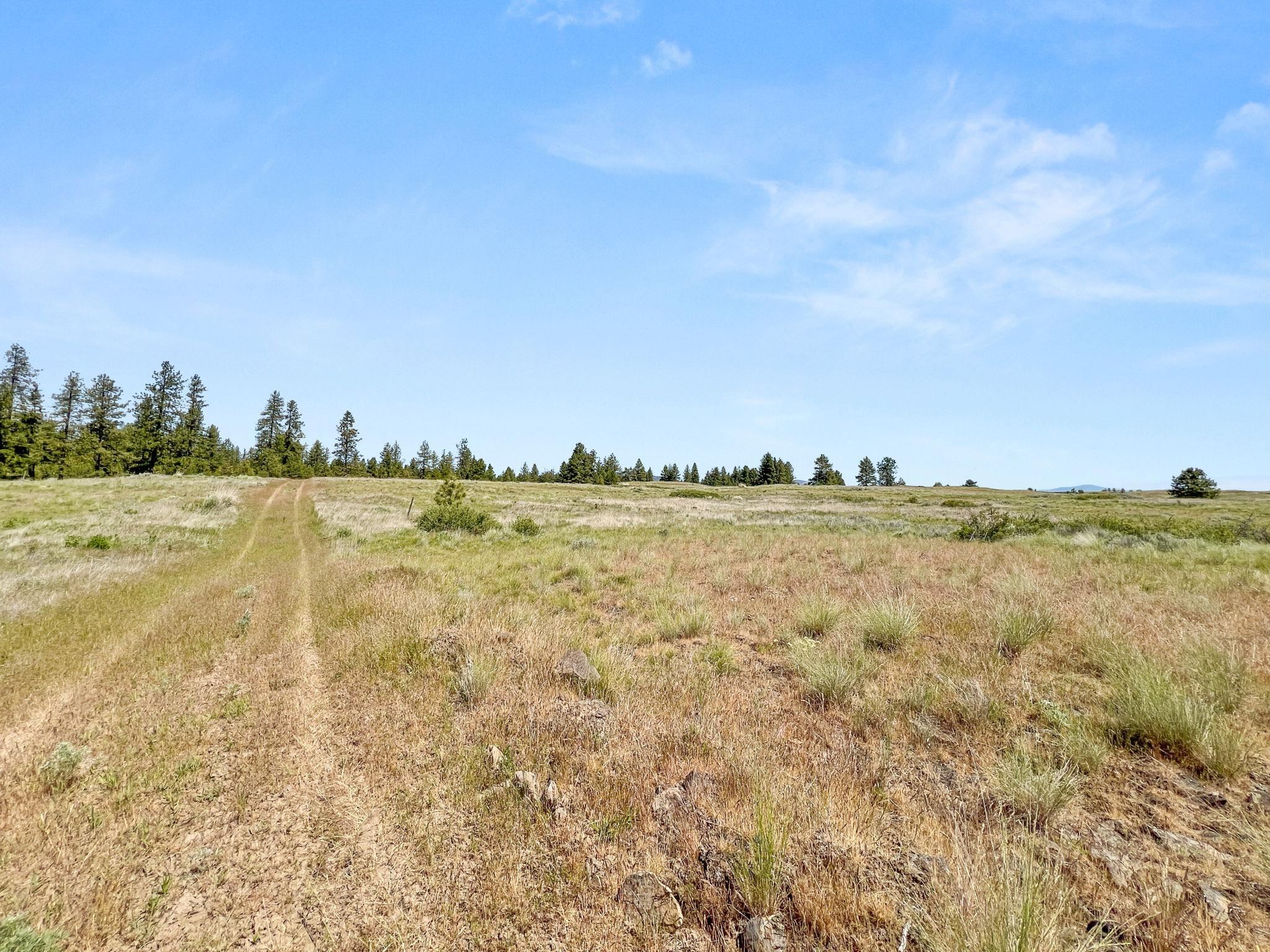 00 W Highland Rd off Coulee Hite Rd - Photo 39