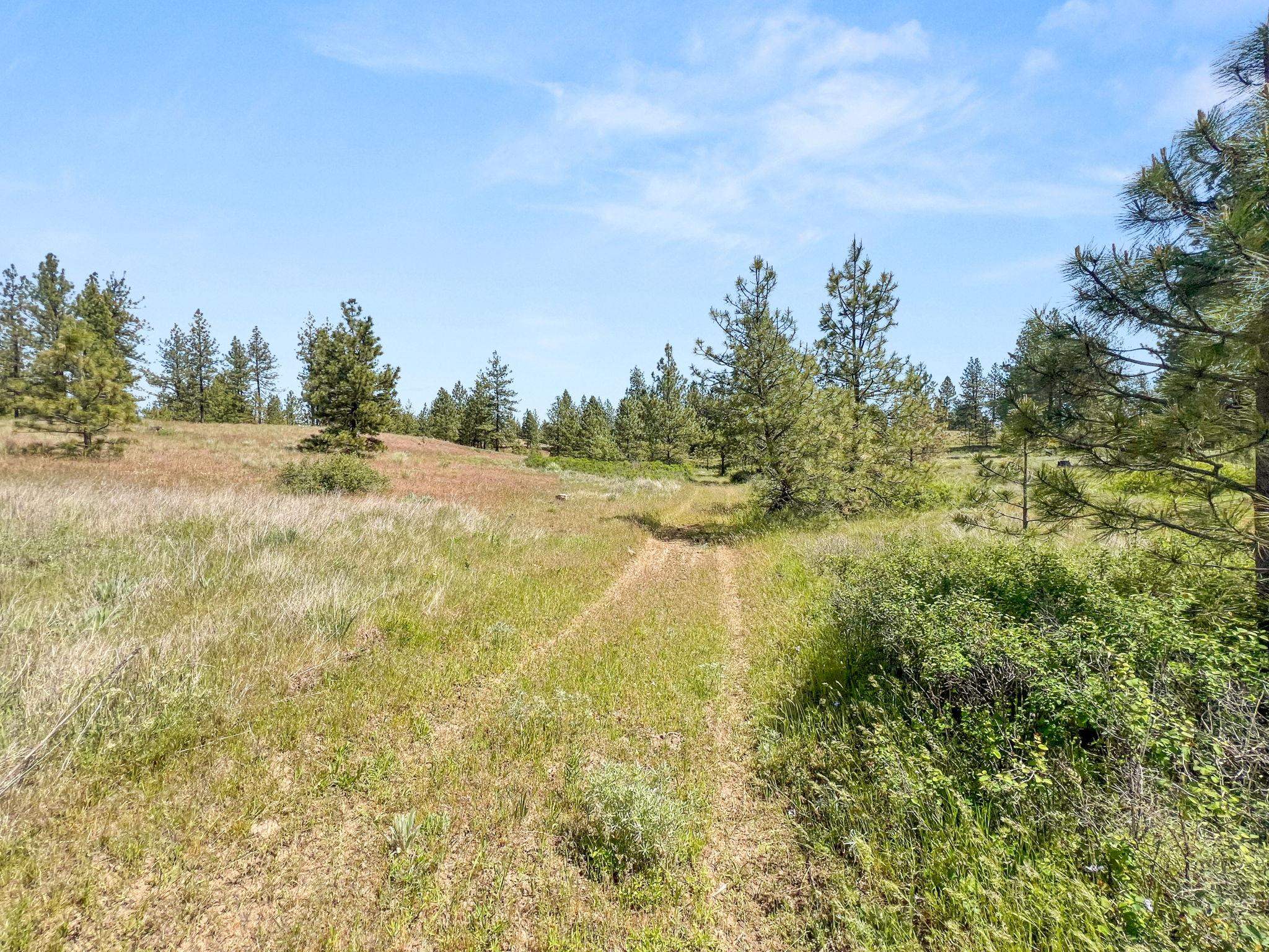 00 W Highland Rd off Coulee Hite Rd - Photo 40