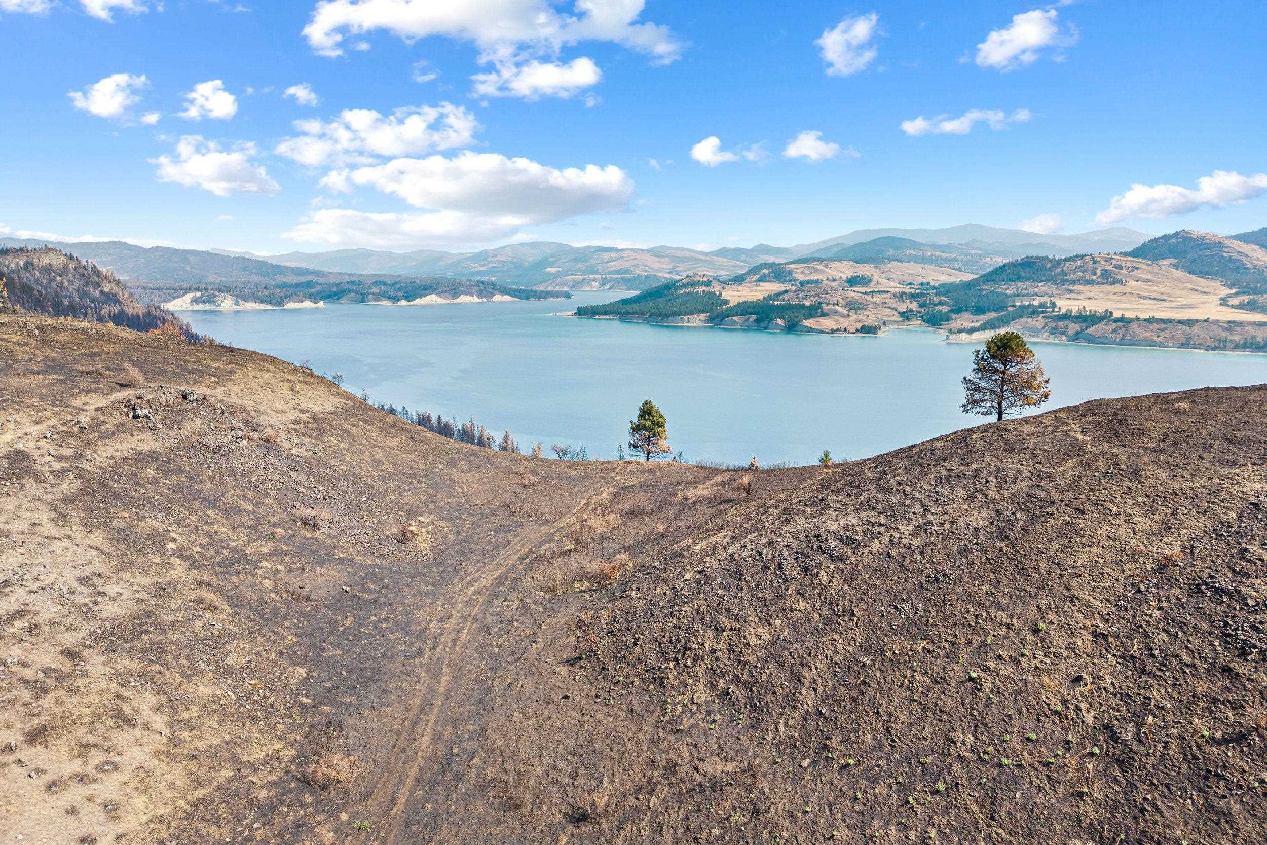 329X Silver Creek Rd - Photo 2