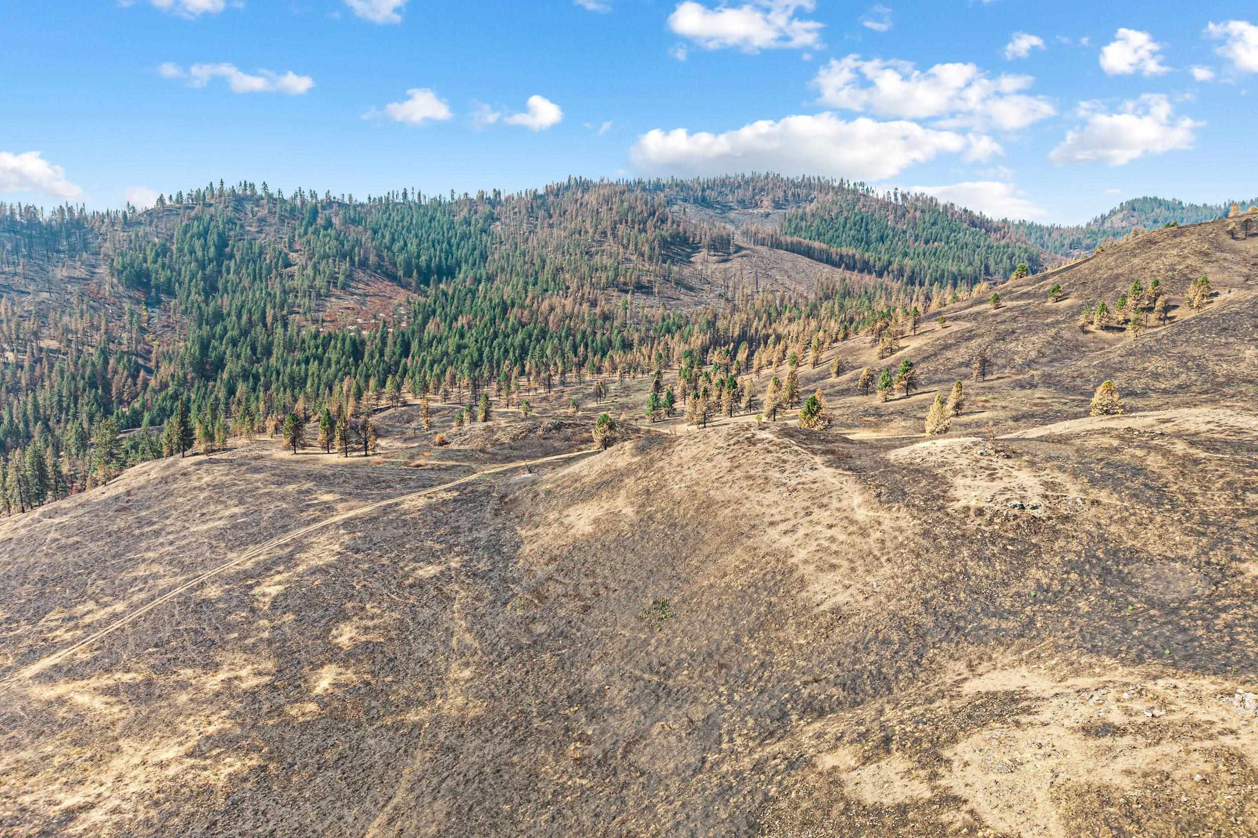 329X Silver Creek Rd - Photo 5