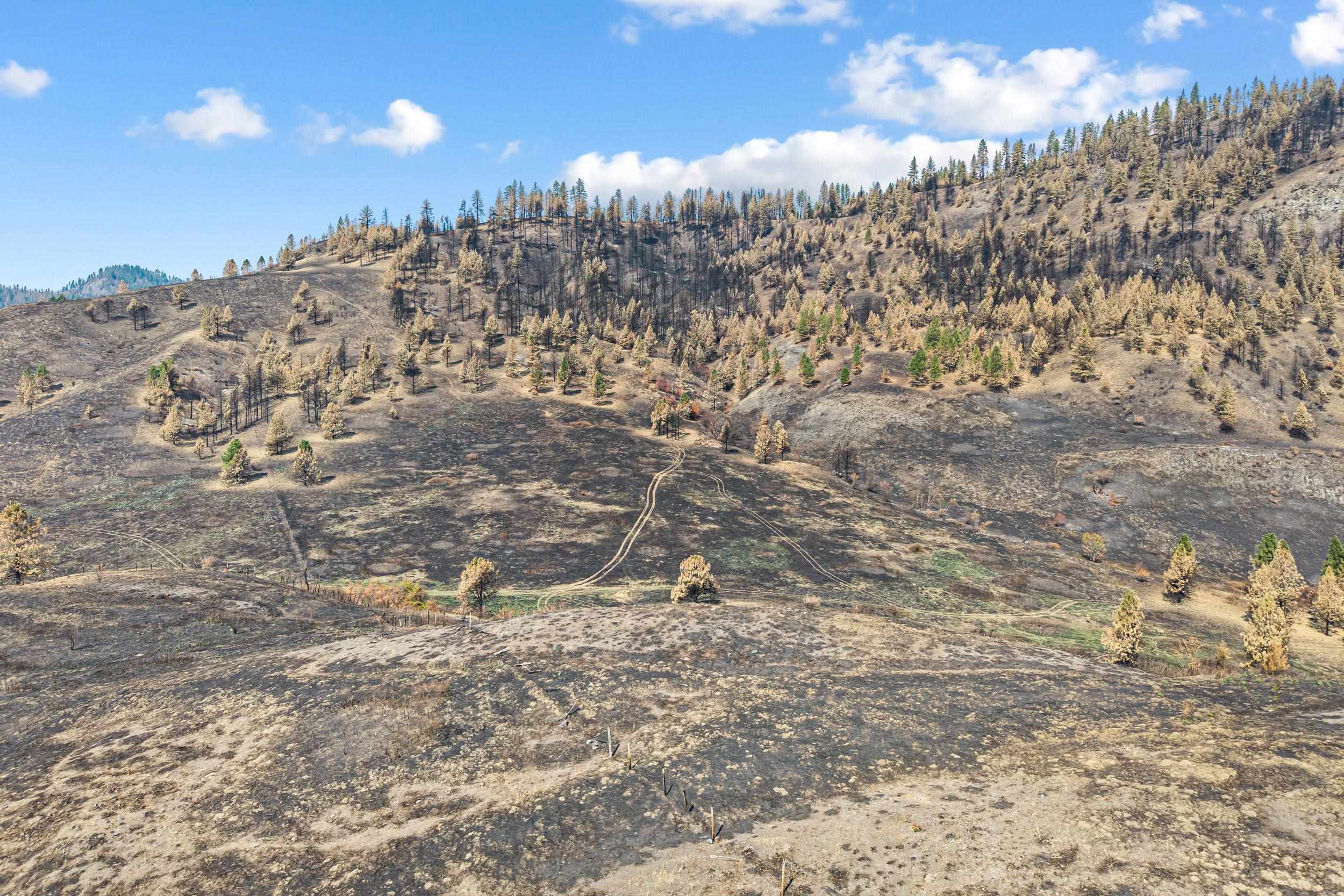 329X Silver Creek Rd - Photo 6
