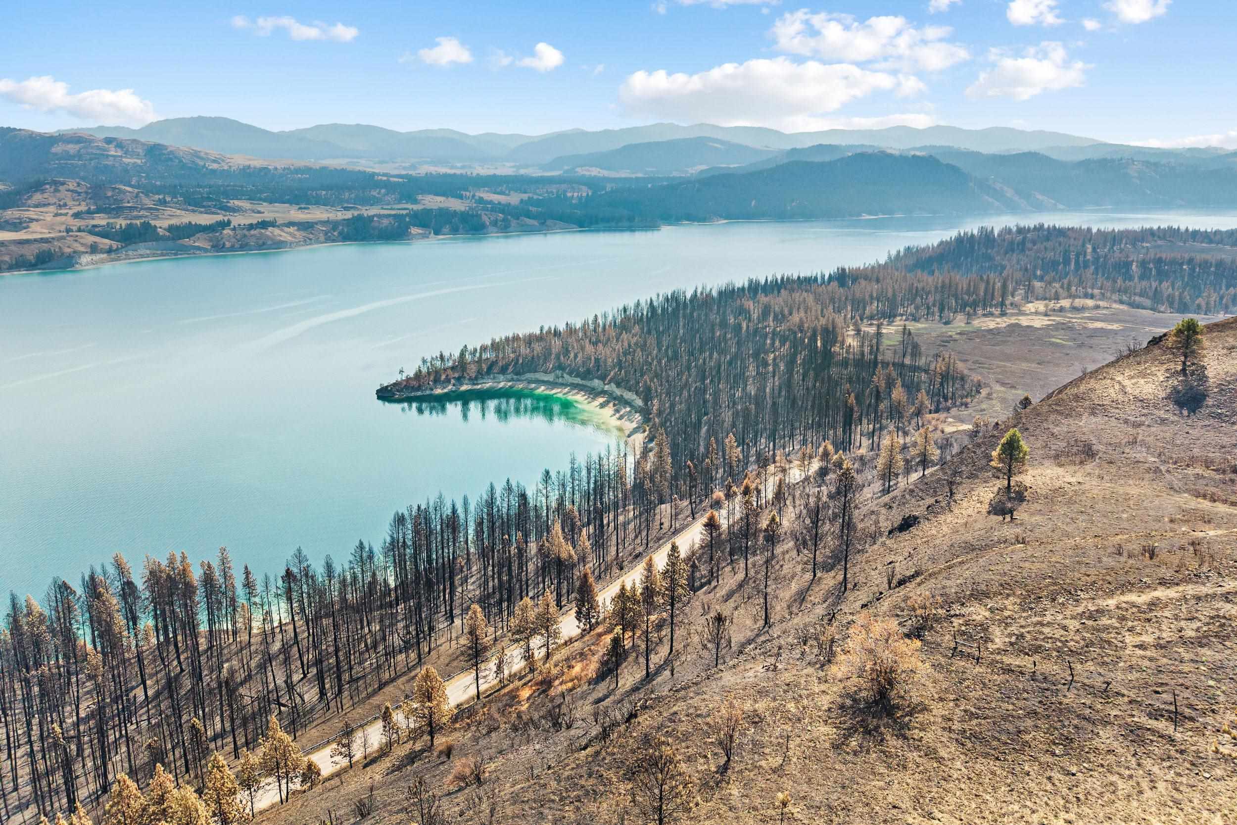 329X Silver Creek Rd - Photo 9