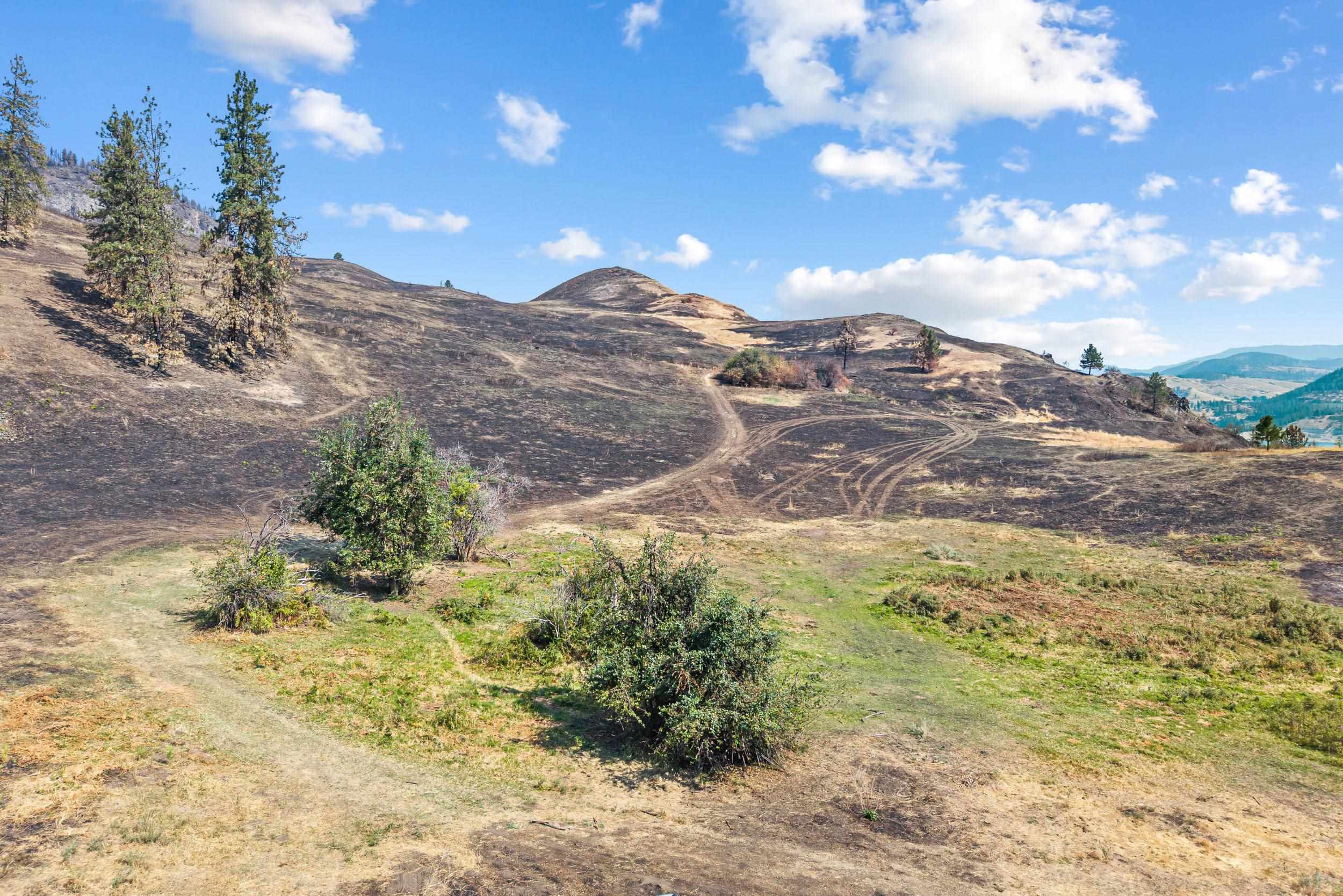 329X Silver Creek Rd - Photo 15