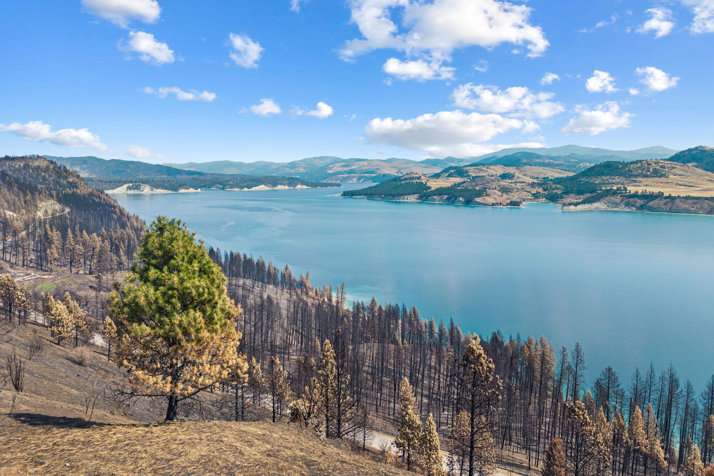329X Silver Creek Rd - Photo 19