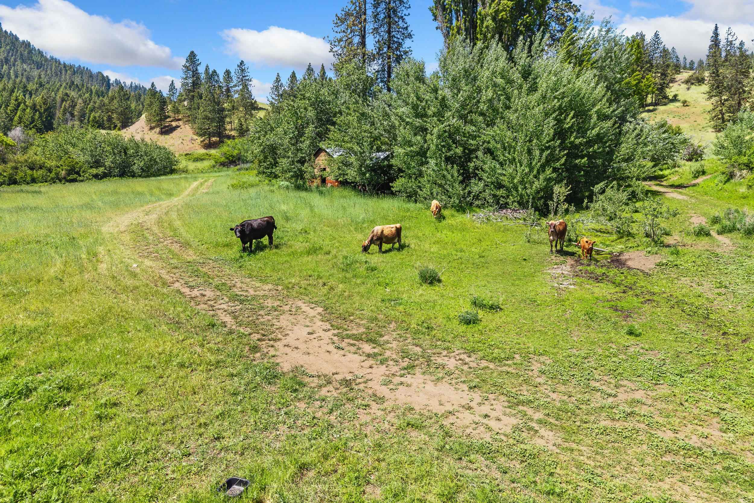 329X Silver Creek Rd - Photo 35