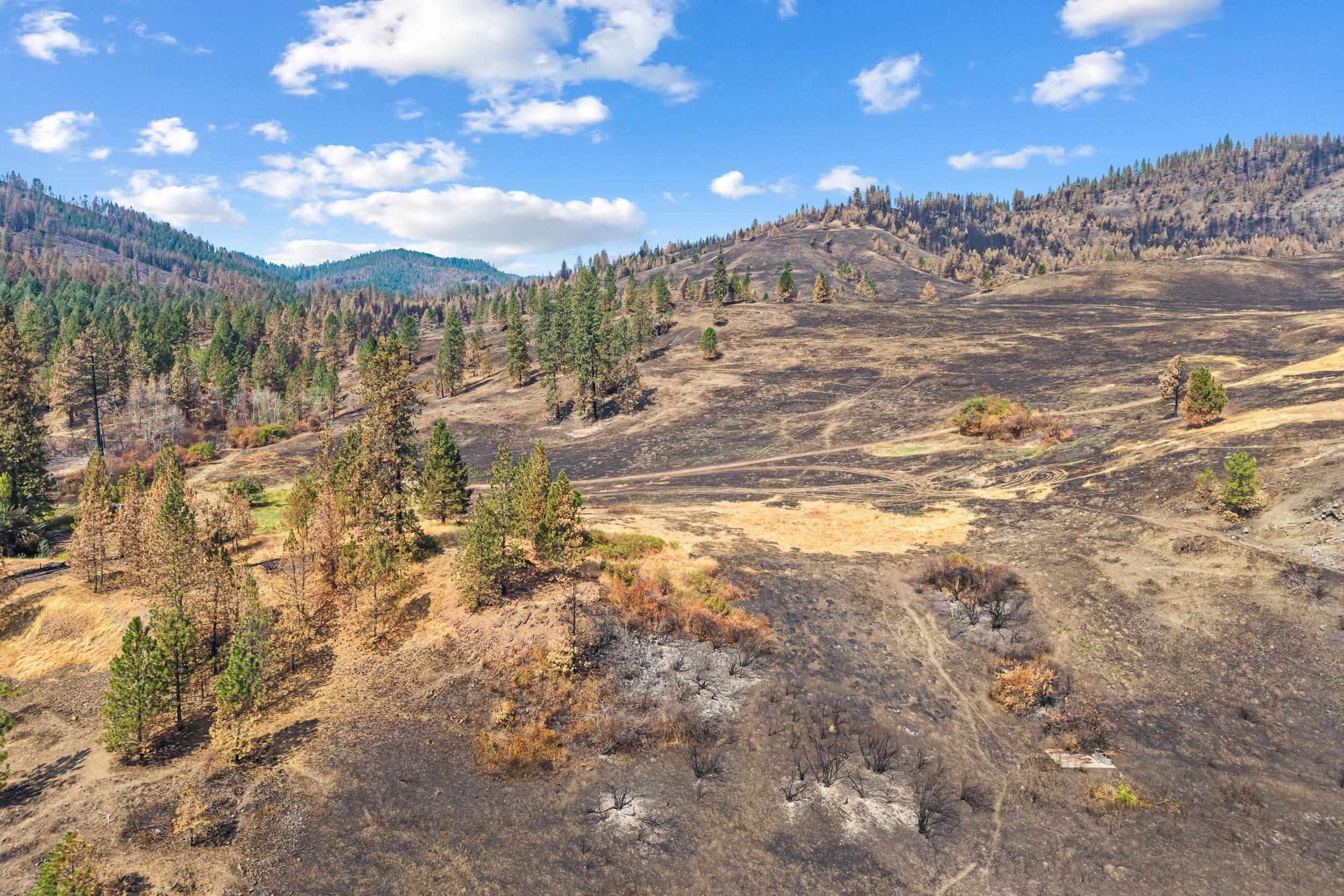 329X Silver Creek Rd - Photo 36