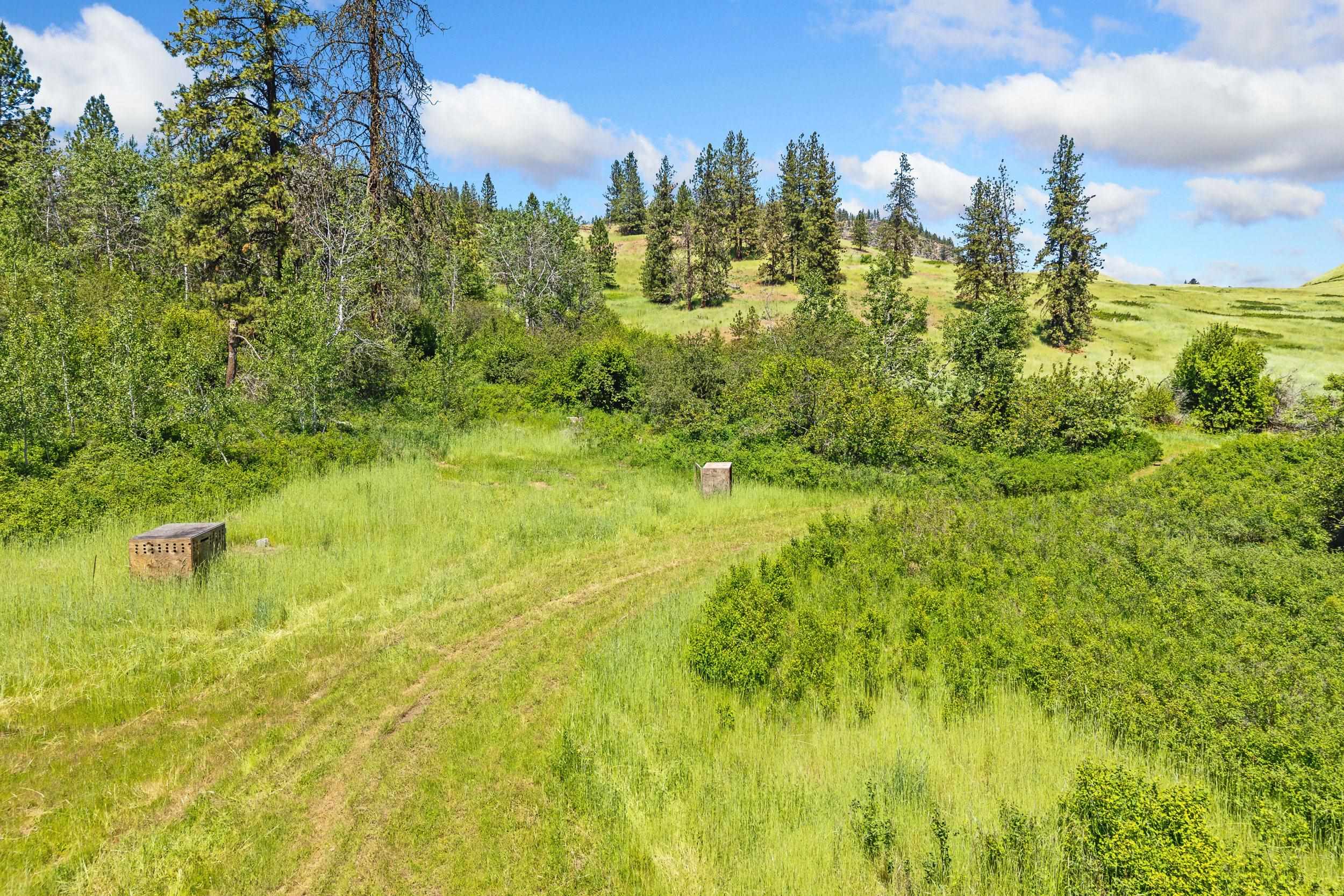 329X Silver Creek Rd - Photo 46