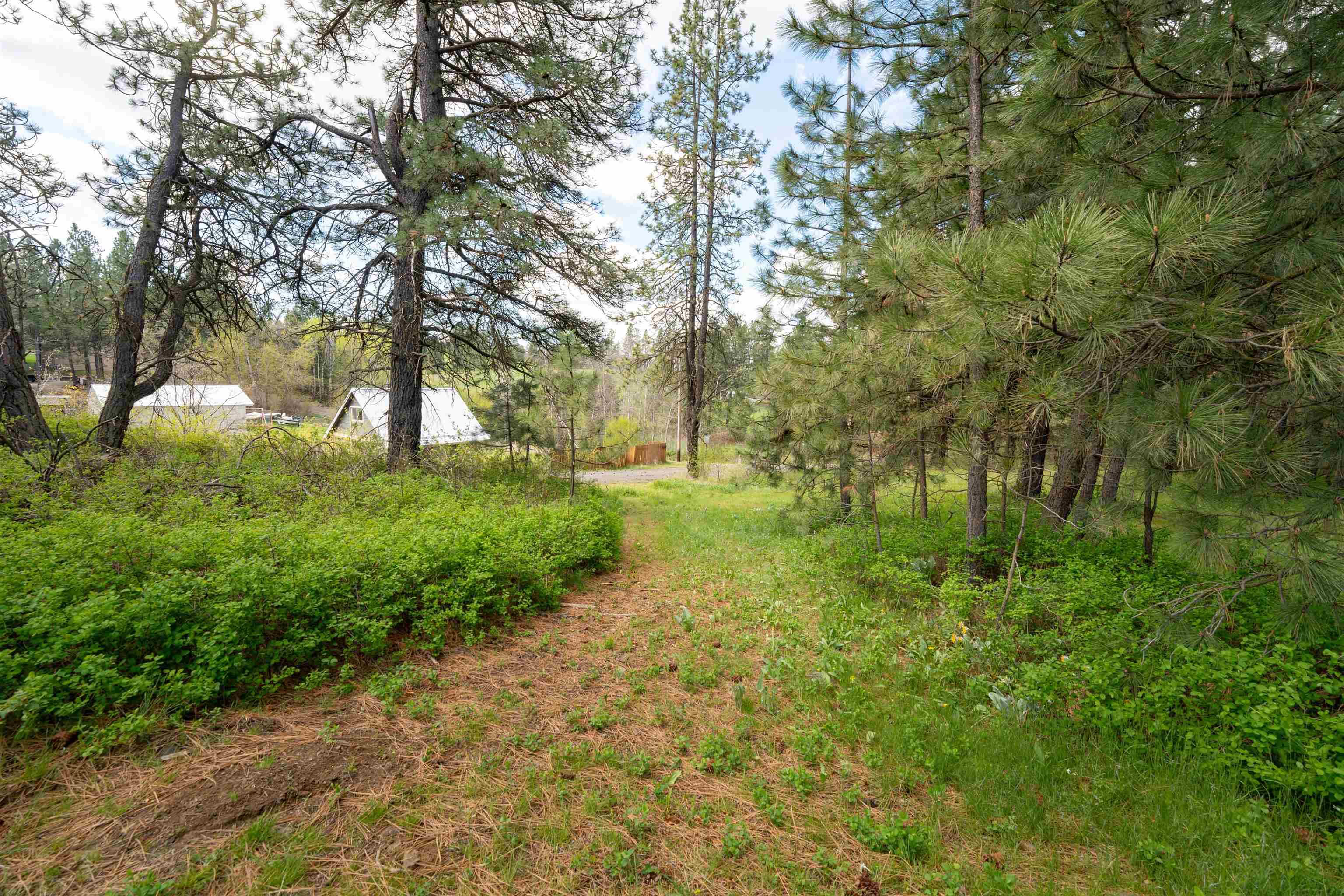 11511 E Connor Rd - Photo 38